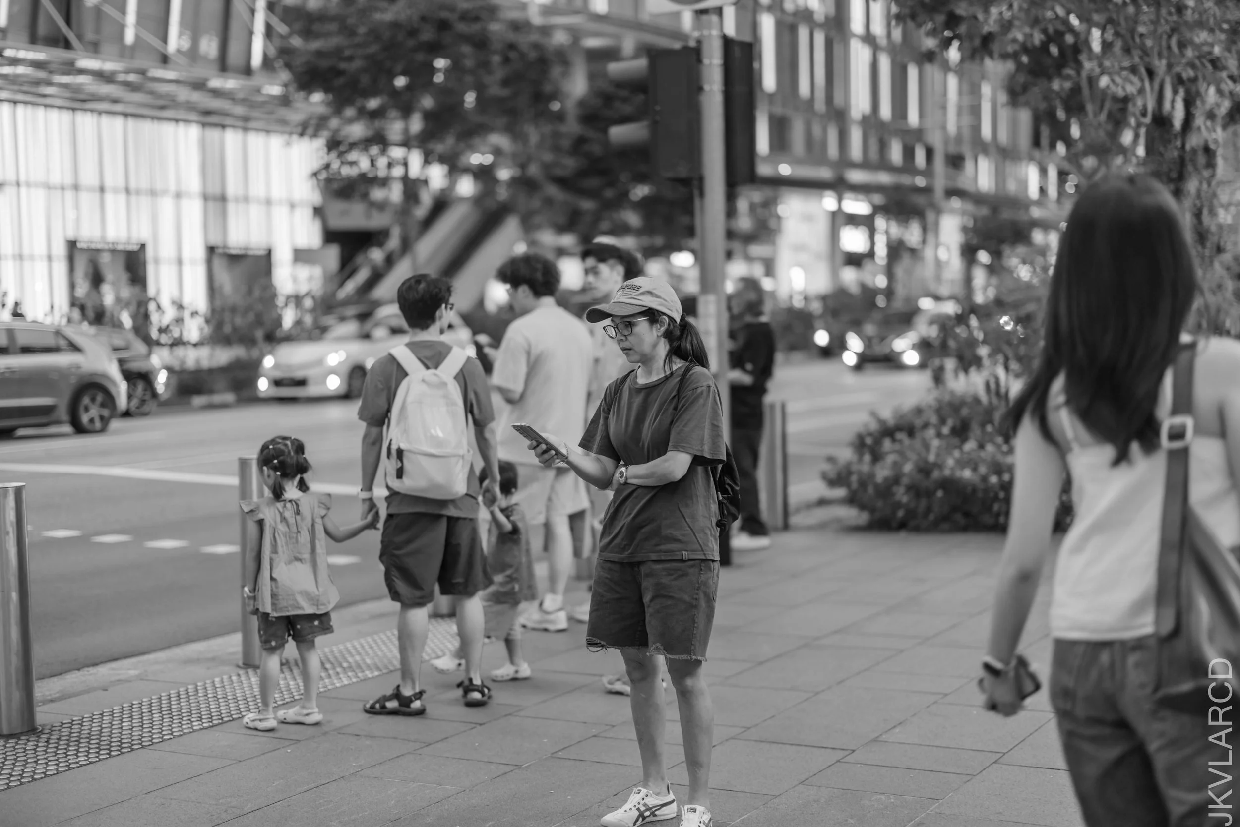 EOS R5_2025_03_15_0038.jpg
