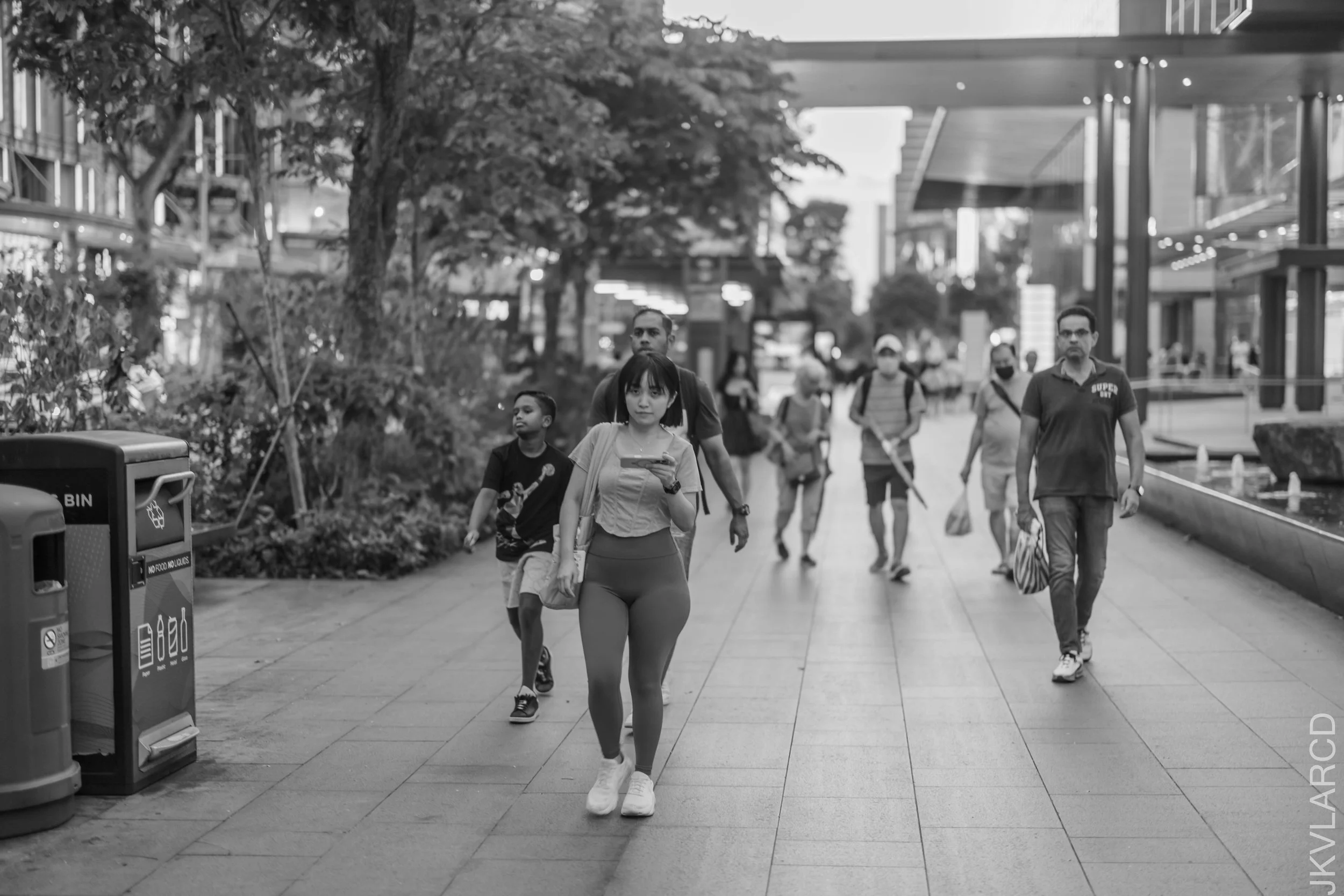 EOS R5_2025_03_15_0040.jpg