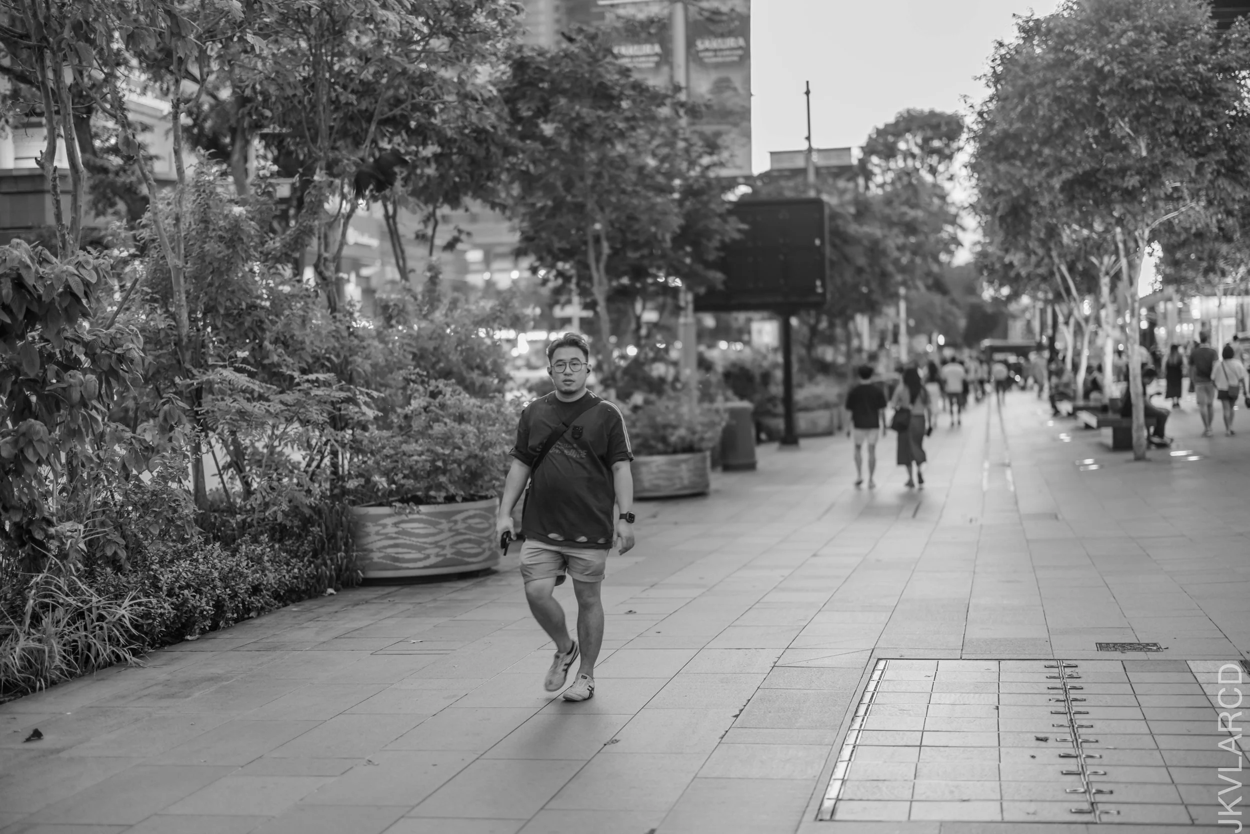 EOS R5_2025_03_15_0042.jpg