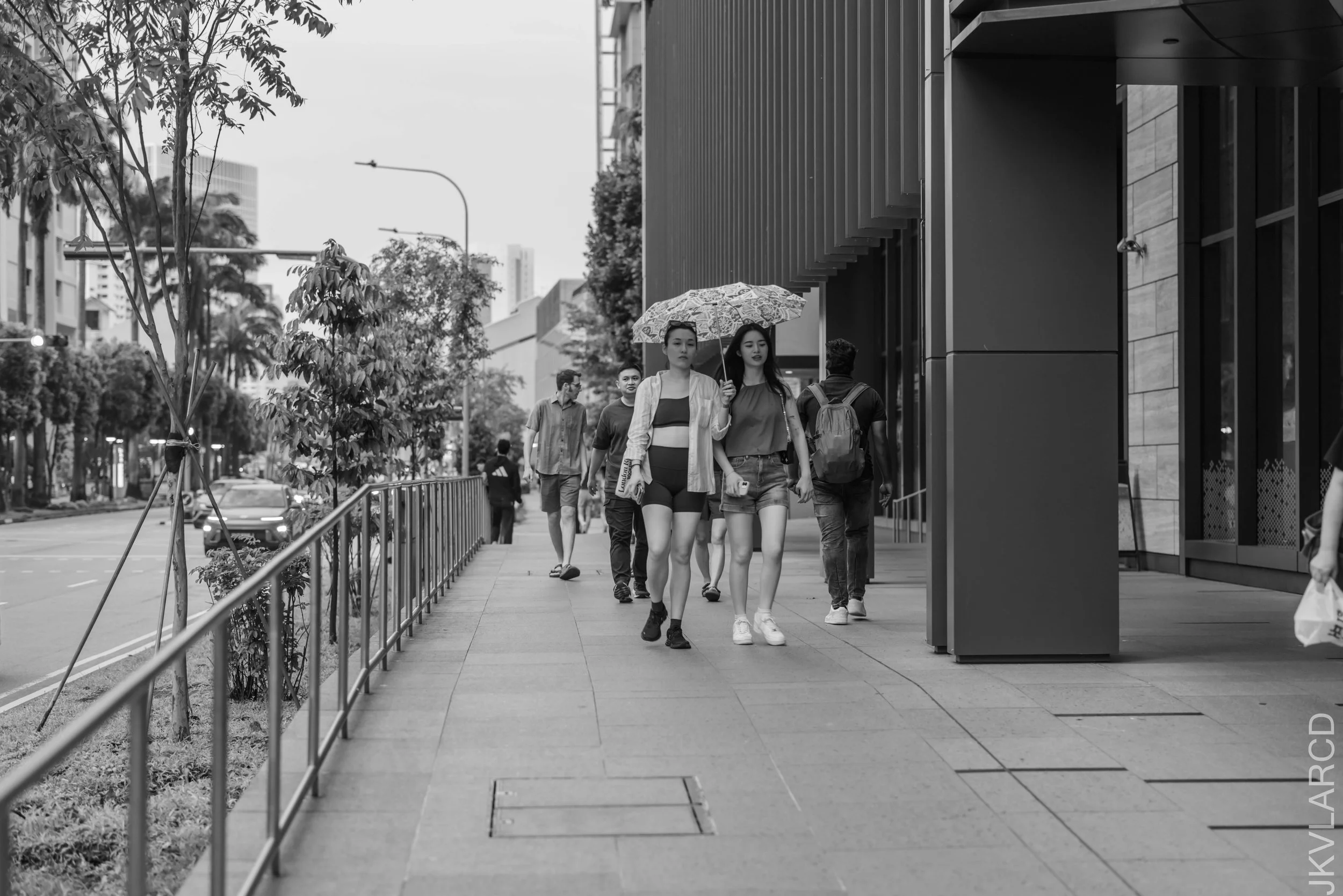 EOS R5_2025_03_29_0098.jpg