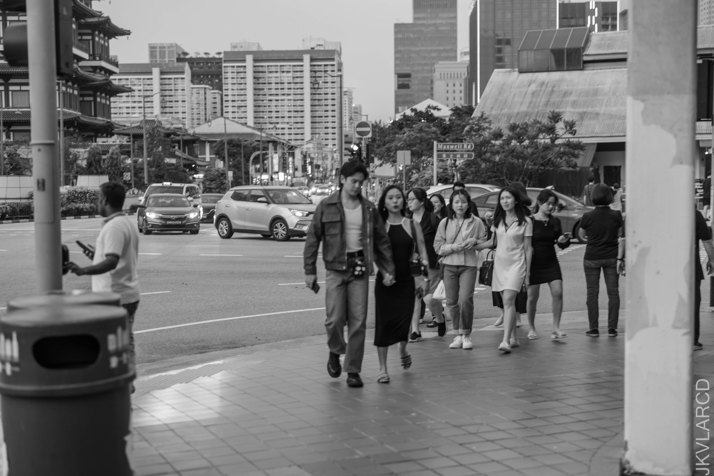 EOS R5_2025_03_29_0109.jpg