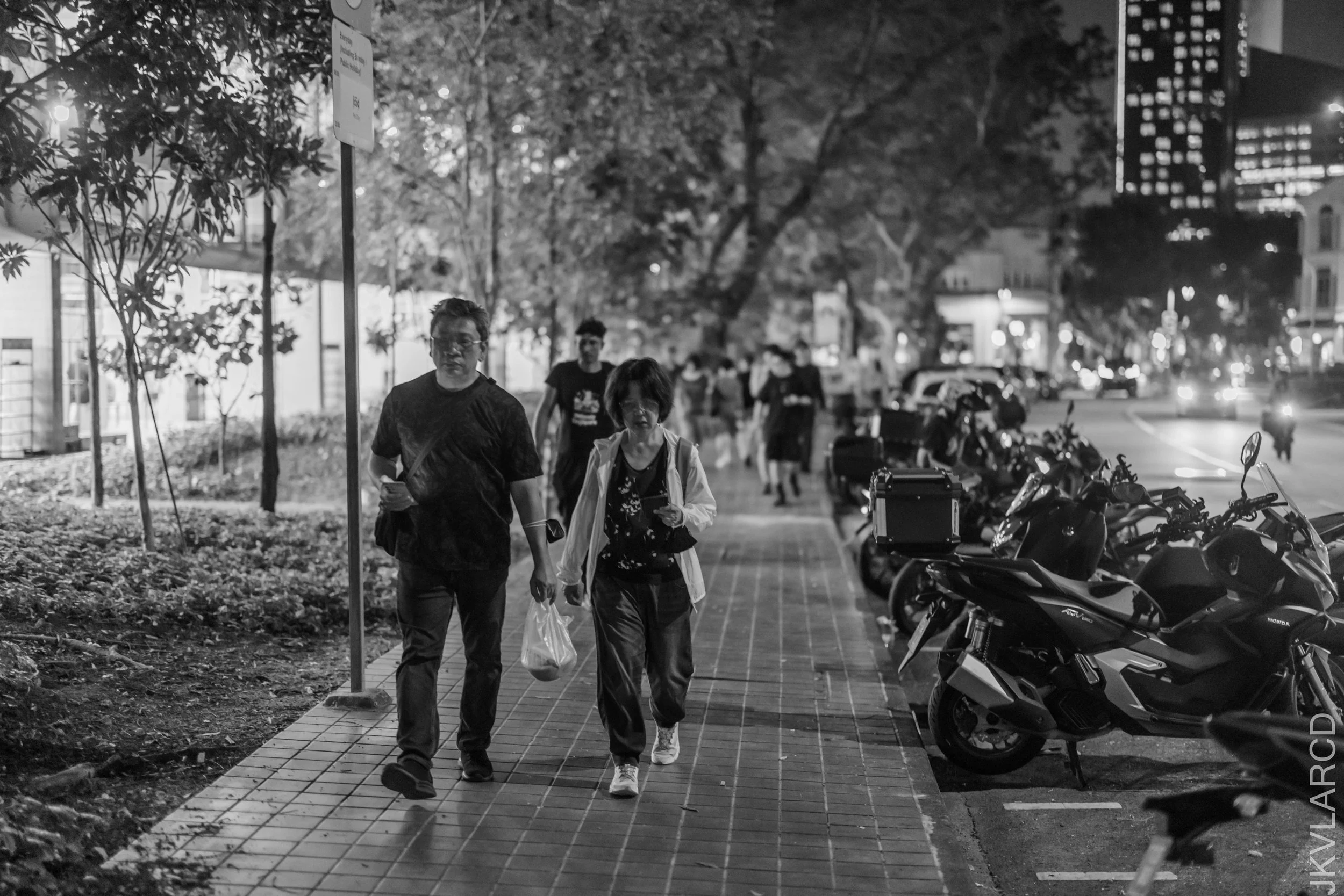 EOS R5_2025_03_29_0153.jpg