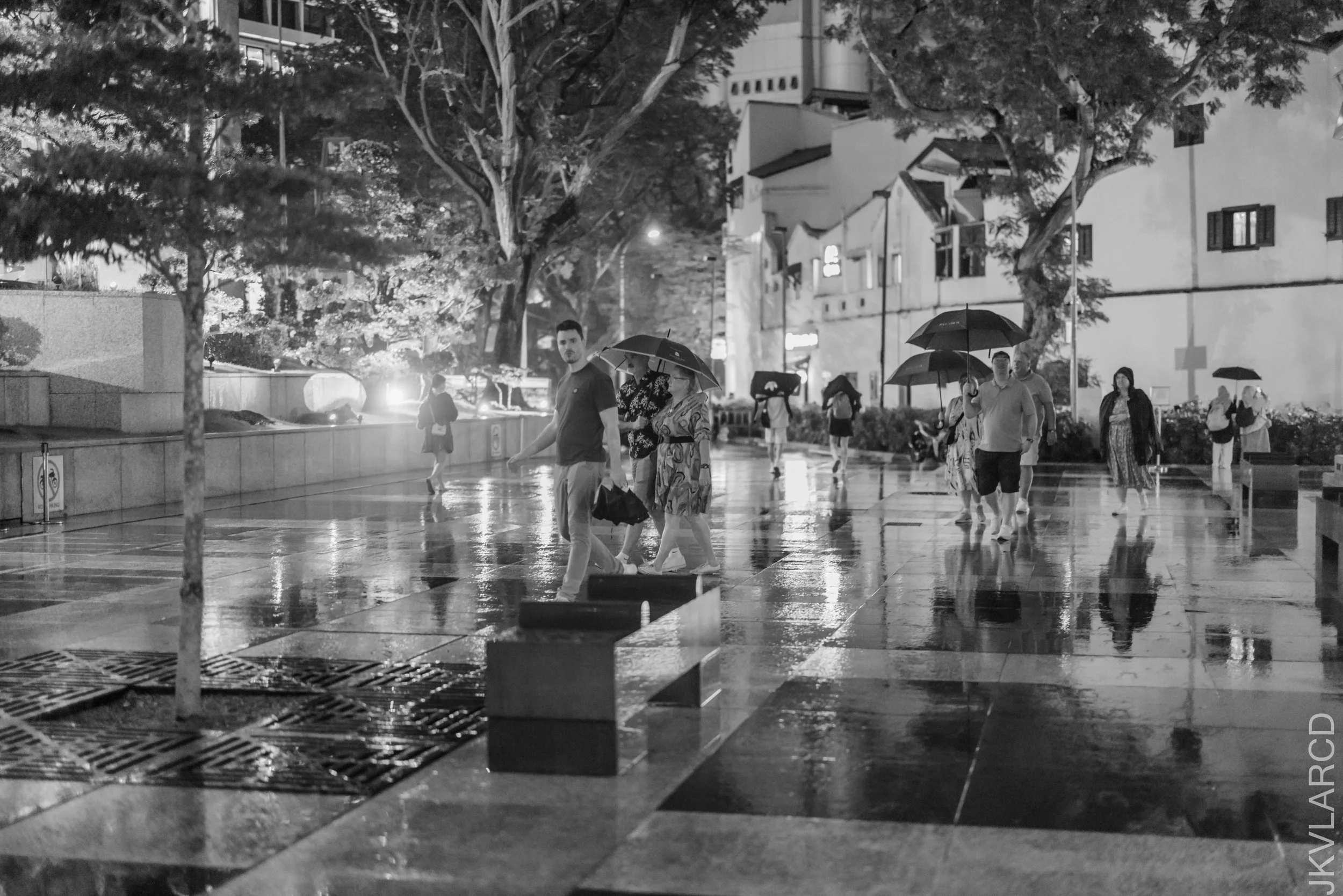 EOS R5_2025_04_12_0010.jpg