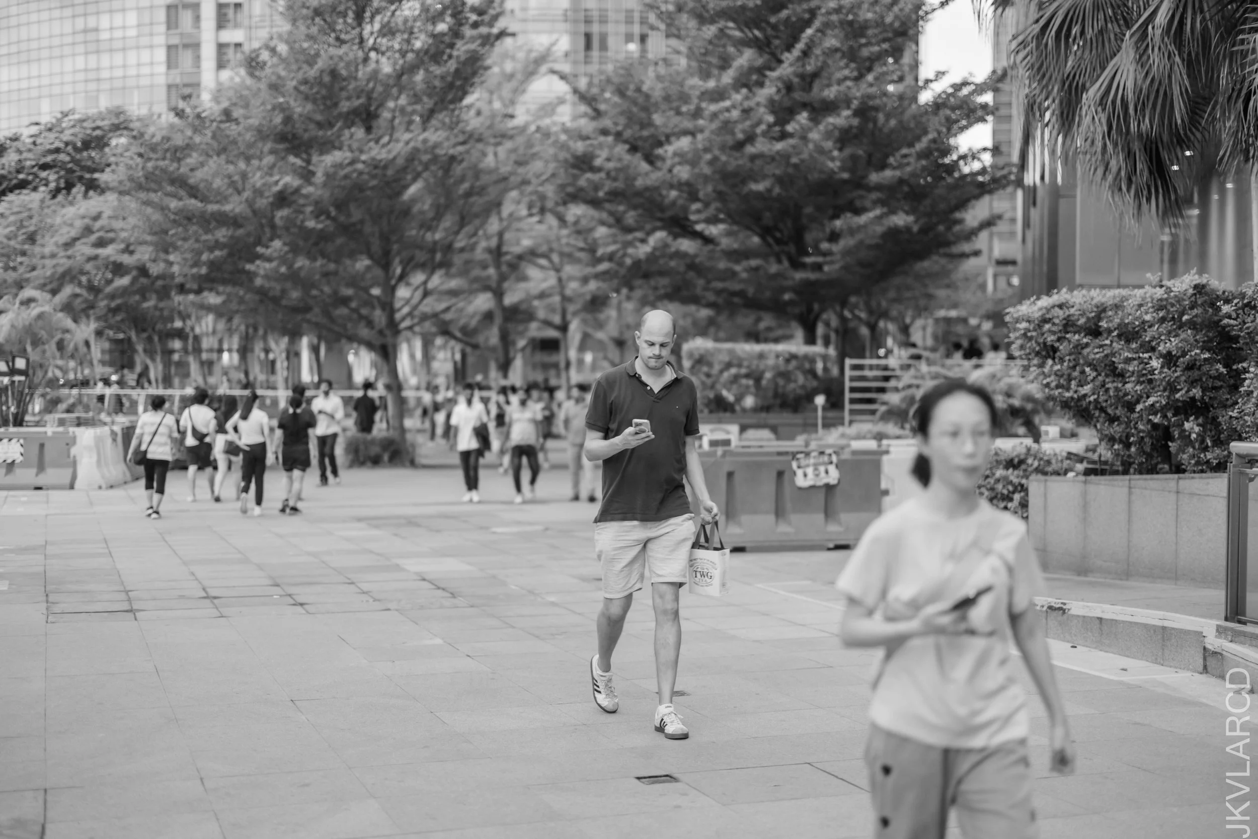 EOS R5_2025_06_07_0015.jpg