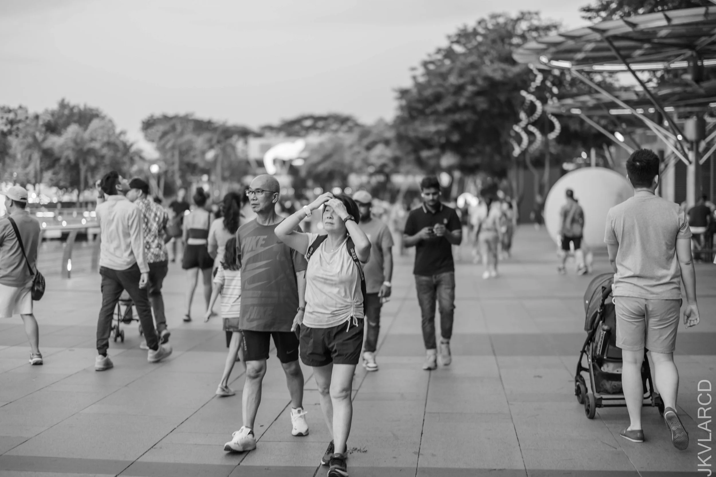 EOS R5_2025_06_07_0036.jpg