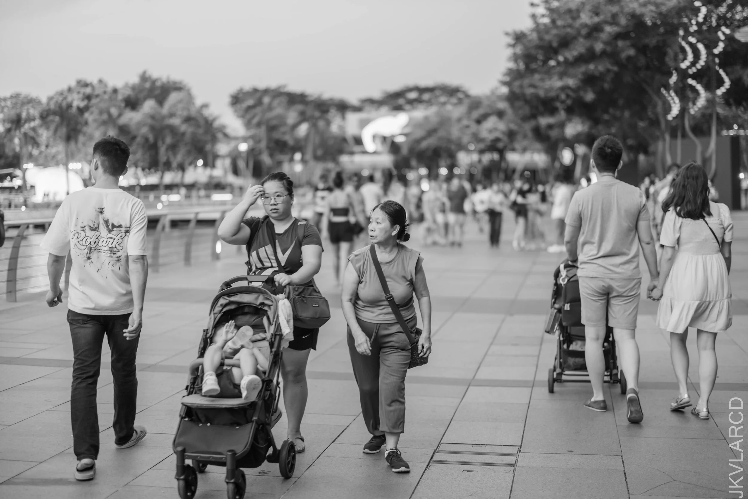 EOS R5_2025_06_07_0037.jpg