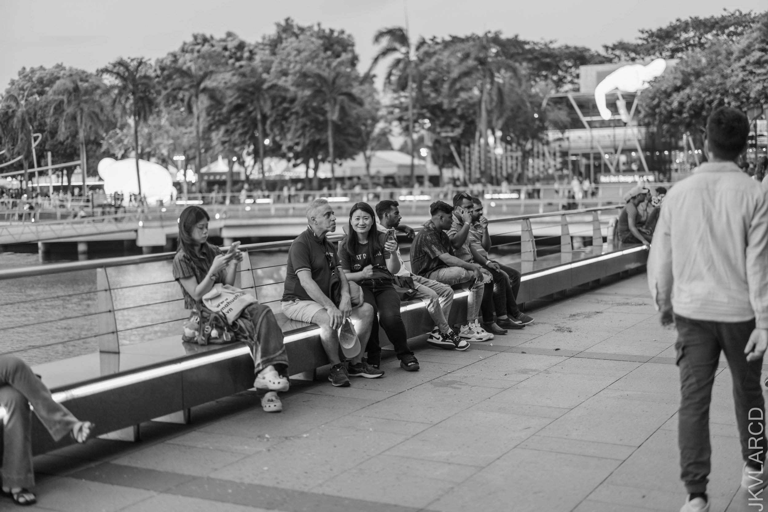 EOS R5_2025_06_07_0043.jpg