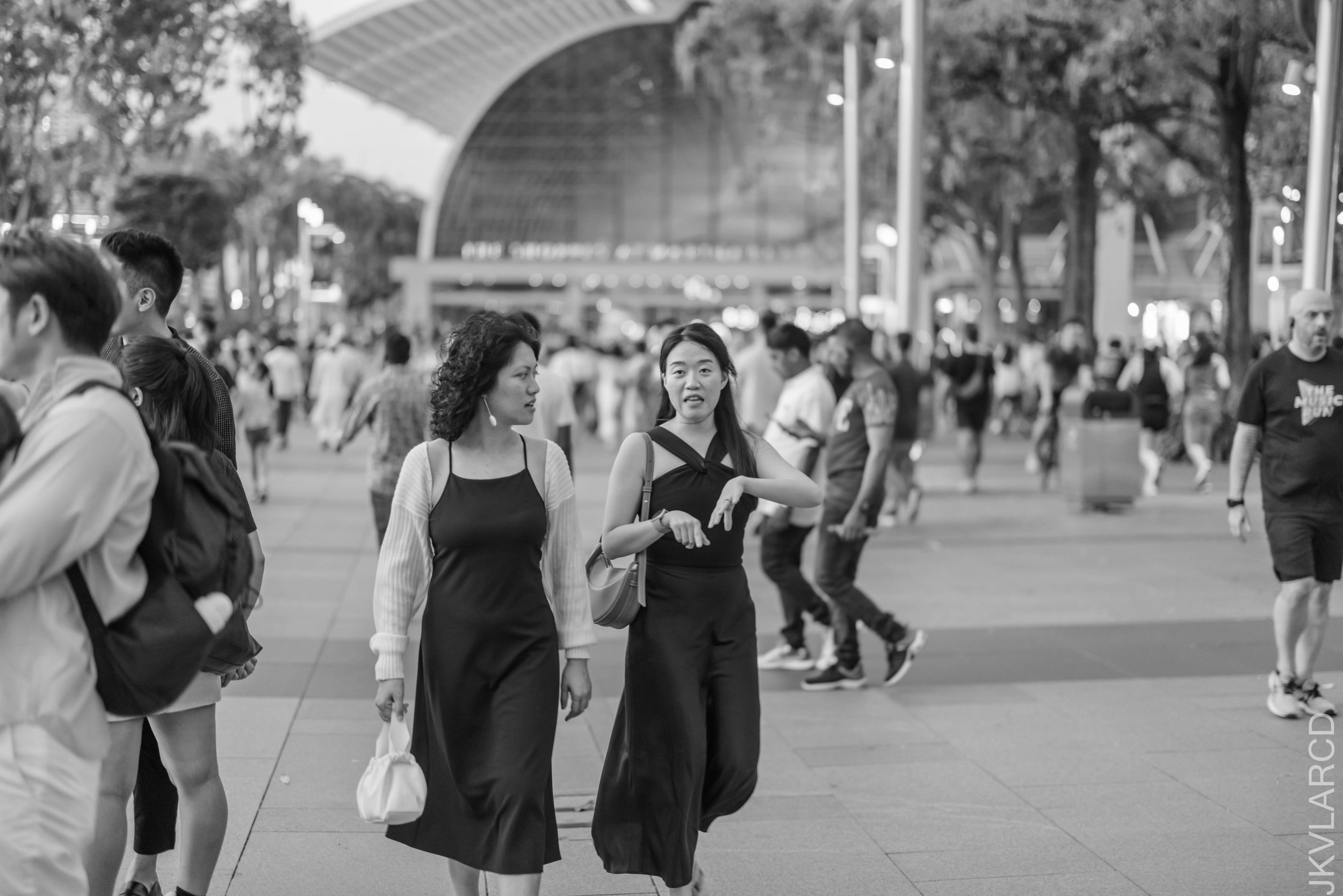 EOS R5_2025_06_07_0063.jpg