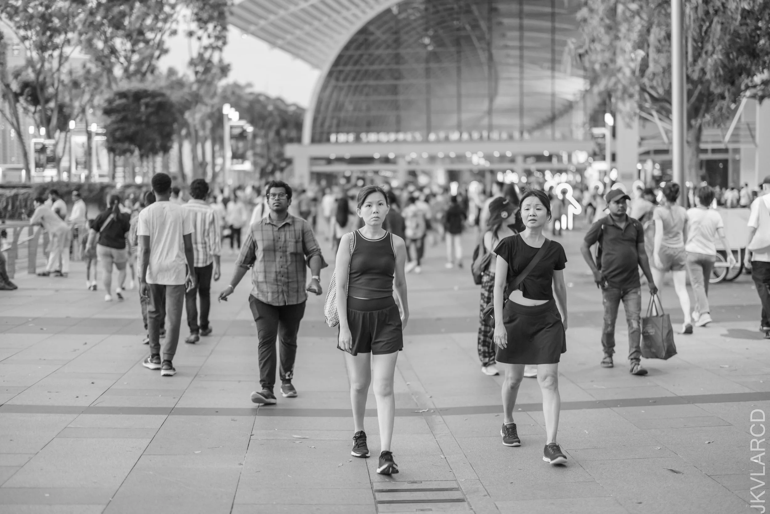 EOS R5_2025_06_07_0064.jpg