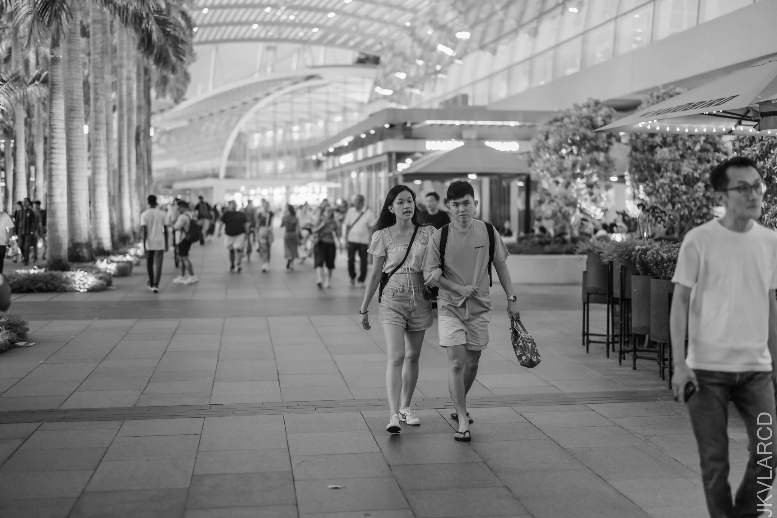 EOS R5_2025_06_07_0081.jpg