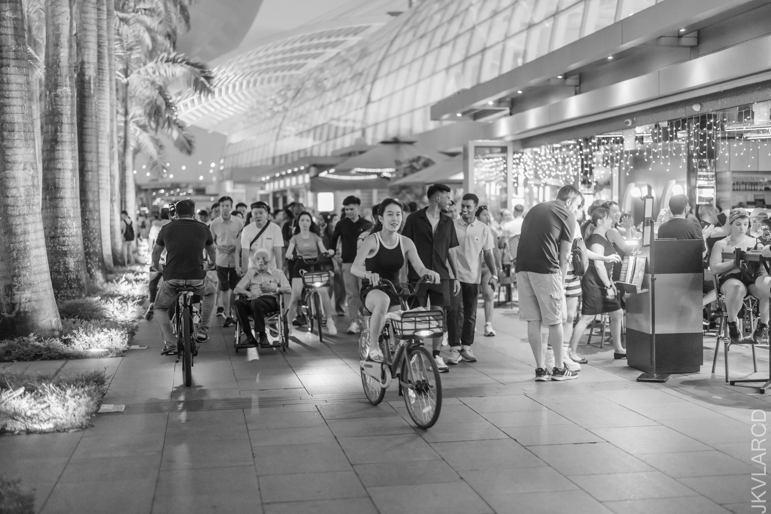 EOS R5_2025_06_07_0109.jpg