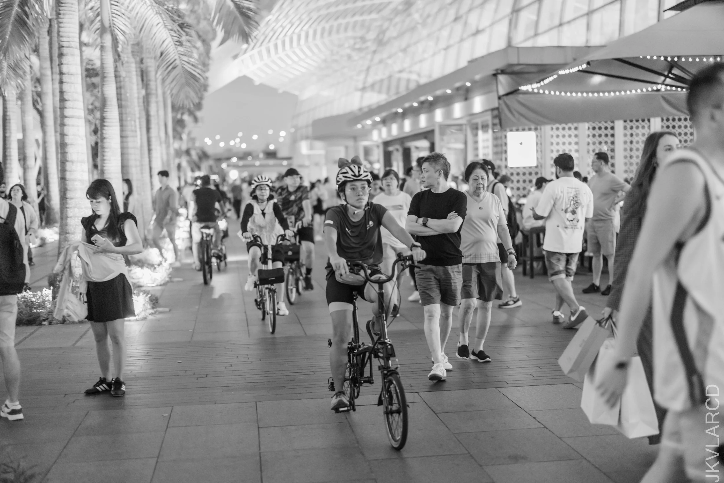 EOS R5_2025_06_07_0111.jpg