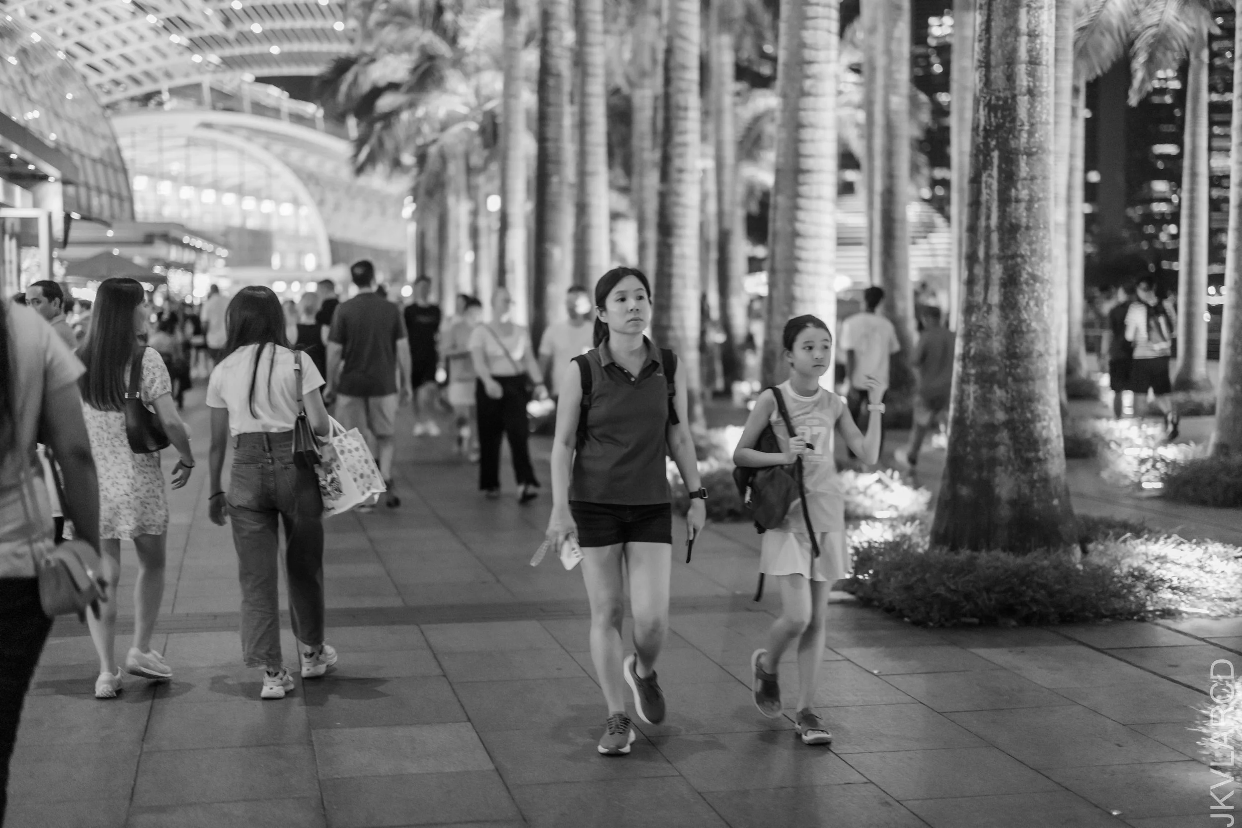 EOS R5_2025_06_07_0172.jpg