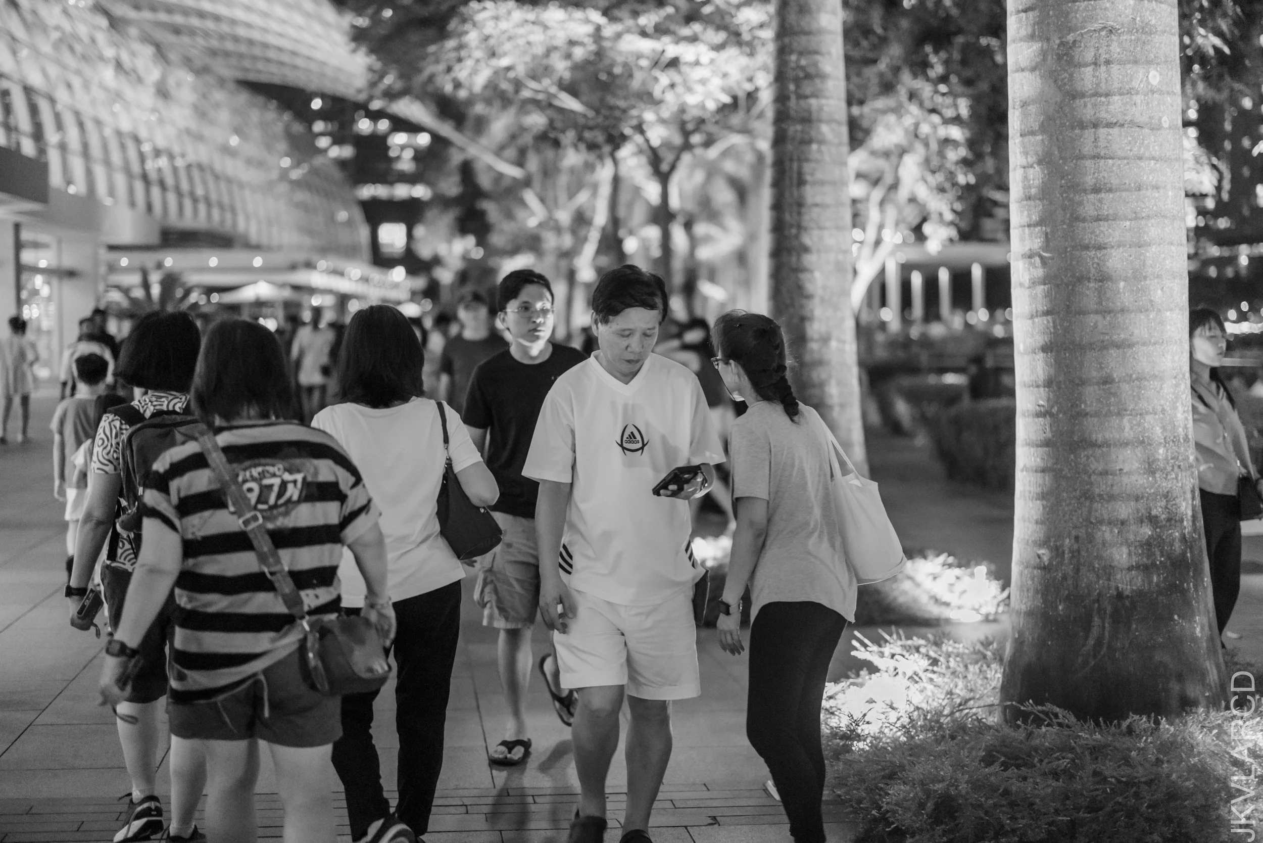 EOS R5_2025_06_07_0181.jpg