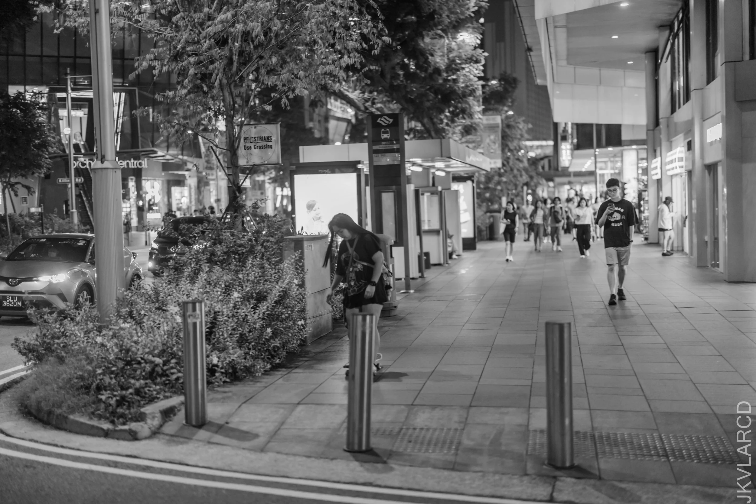 EOS R5_2025_06_28_0292.jpg