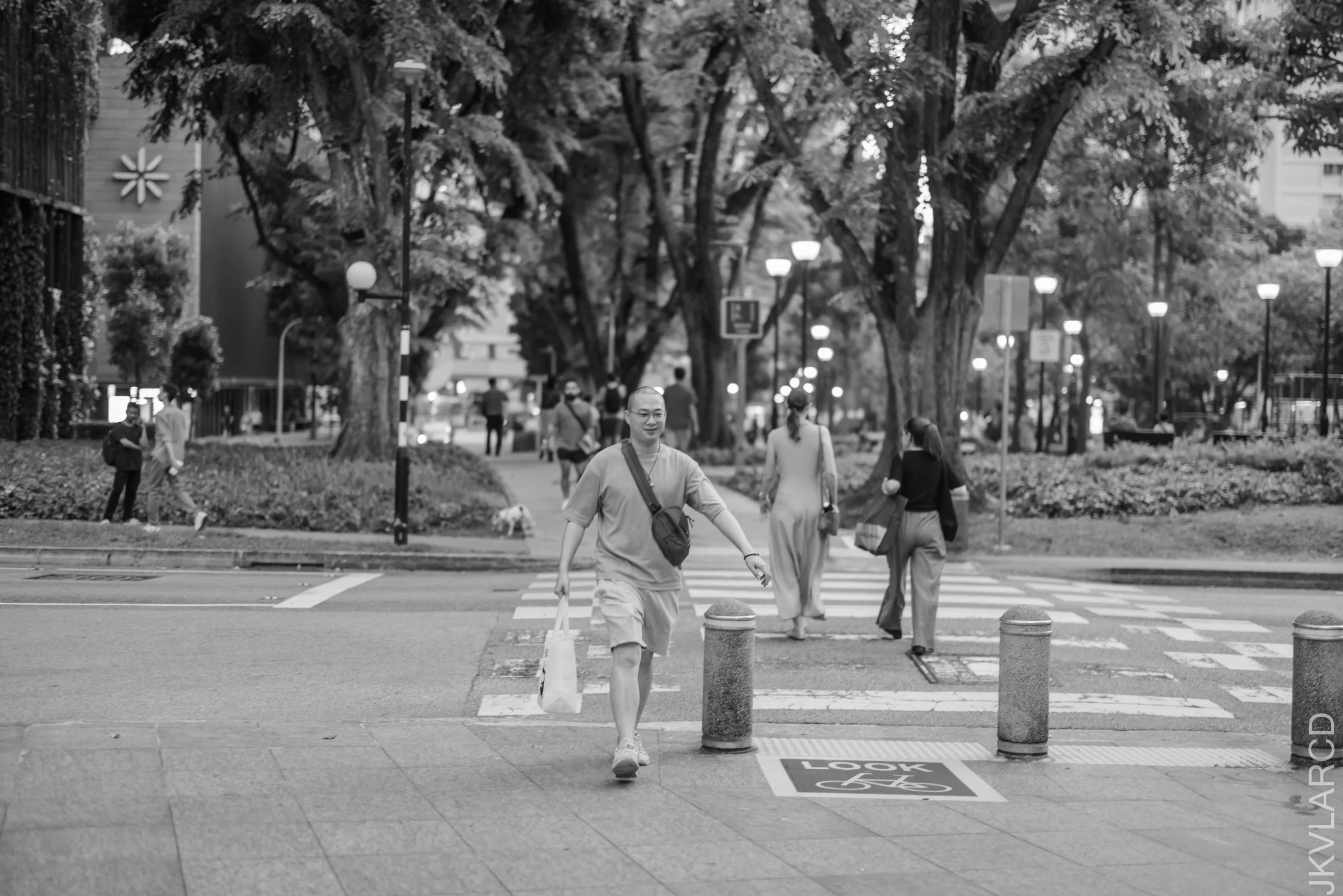 EOS R5_2025_07_05_0001.jpg