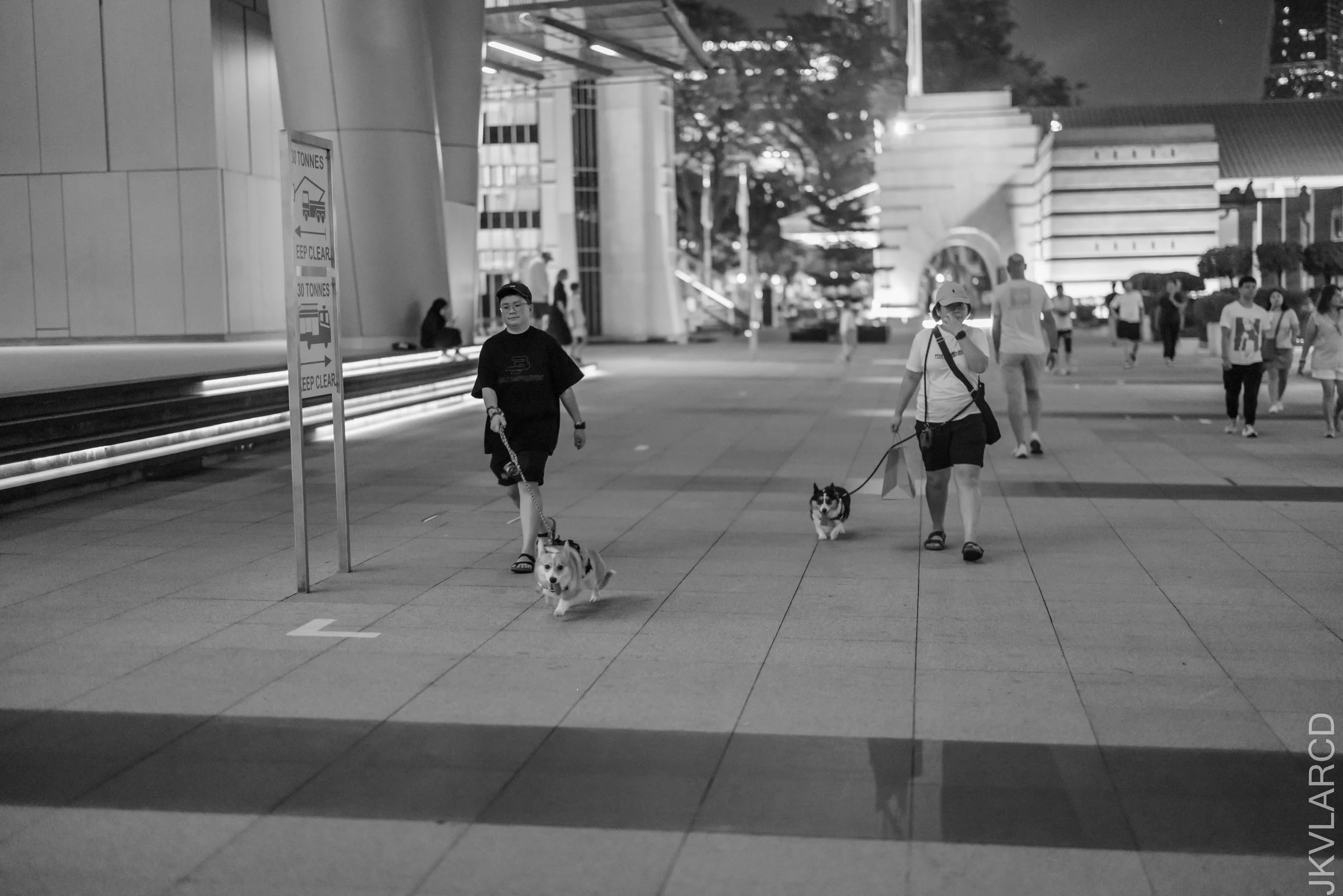EOS R5_2025_10_11_0126.jpg