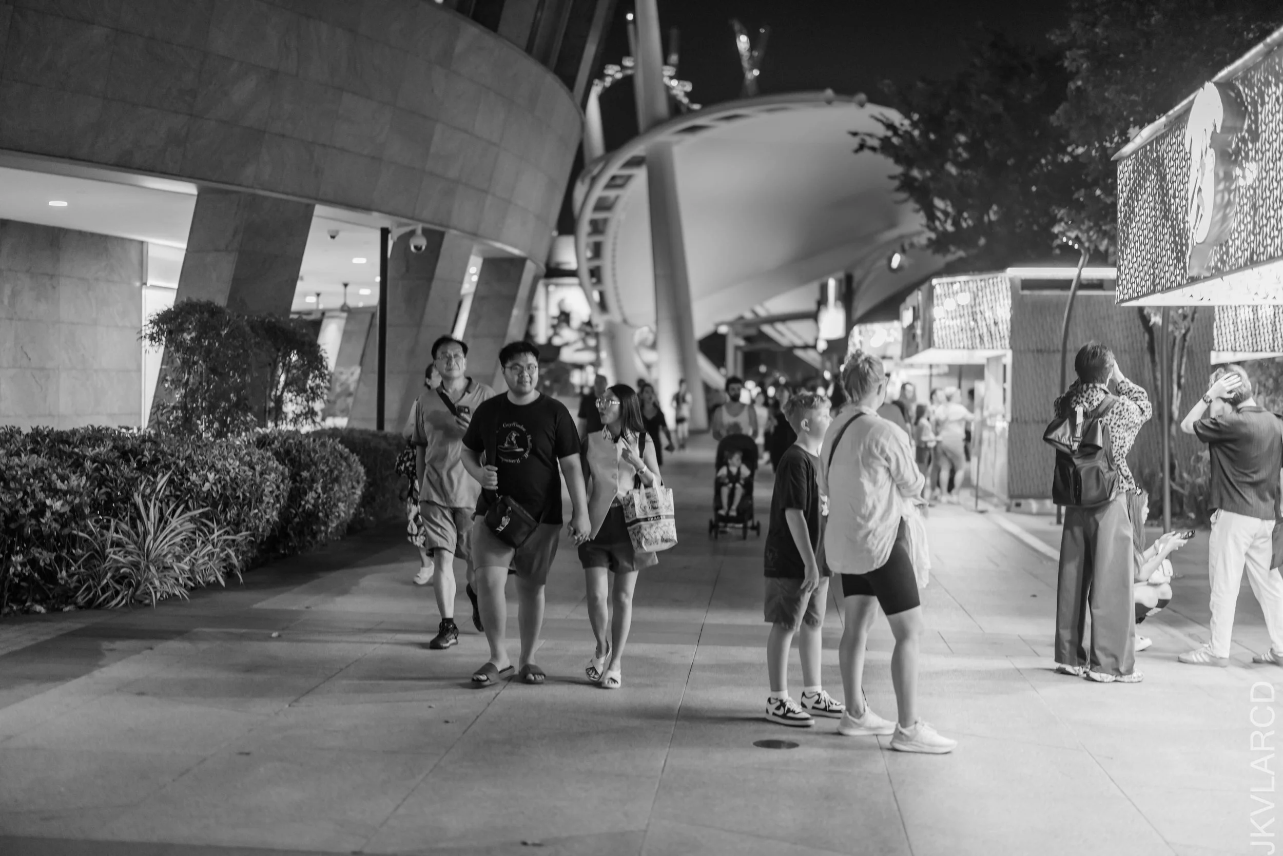 EOS R5_2025_10_11_0224.jpg