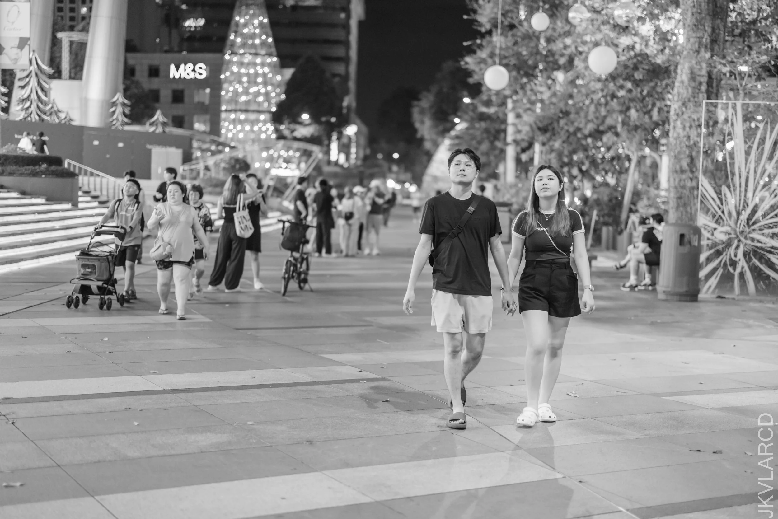 EOS R5_2025_10_25_0196.jpg
