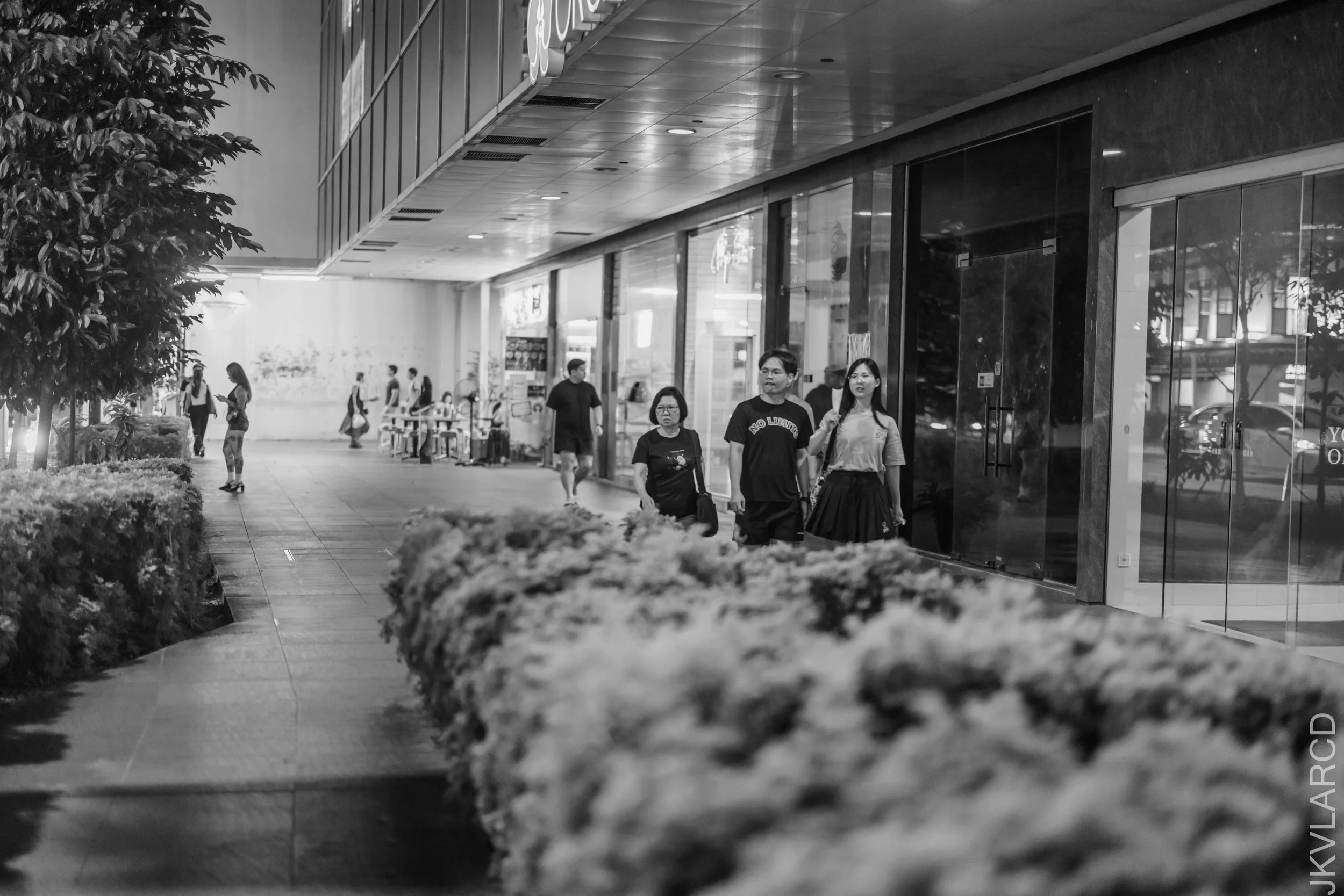 EOS R5_2025_11_01_0010.jpg