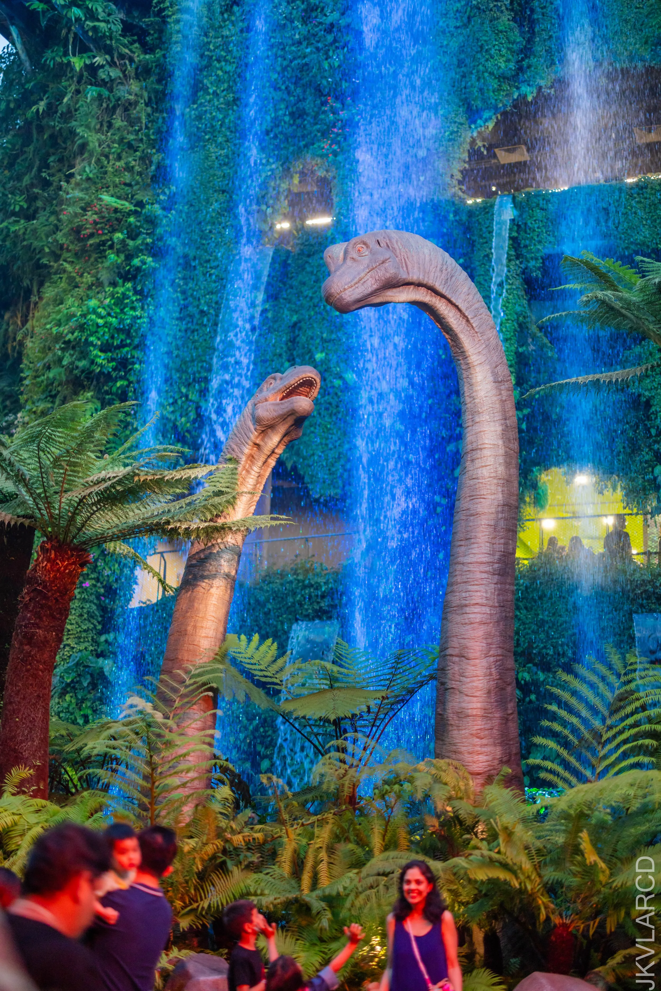EOS R5_2025_11_22_0001.jpg