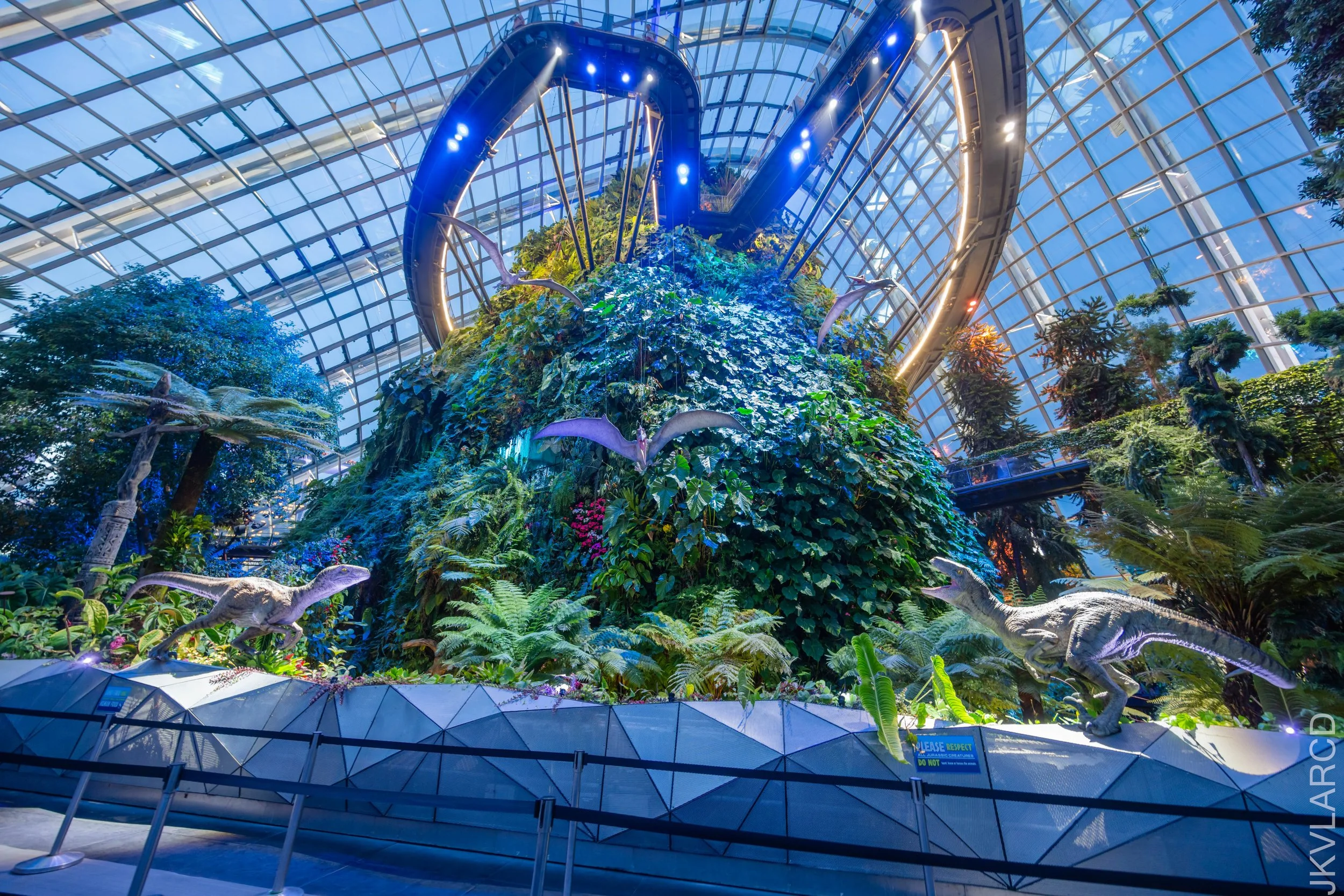 EOS R5_2025_11_22_0034.jpg