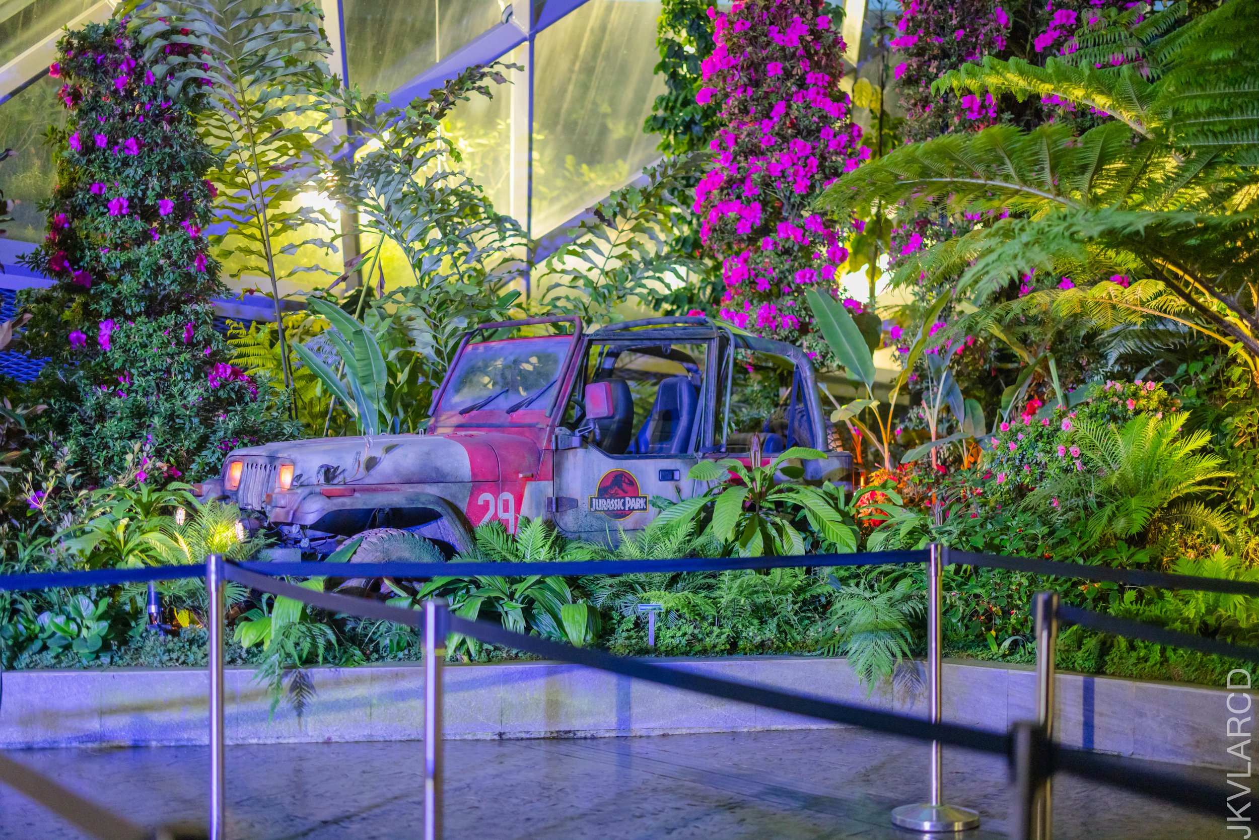 EOS R5_2025_11_22_0044.jpg