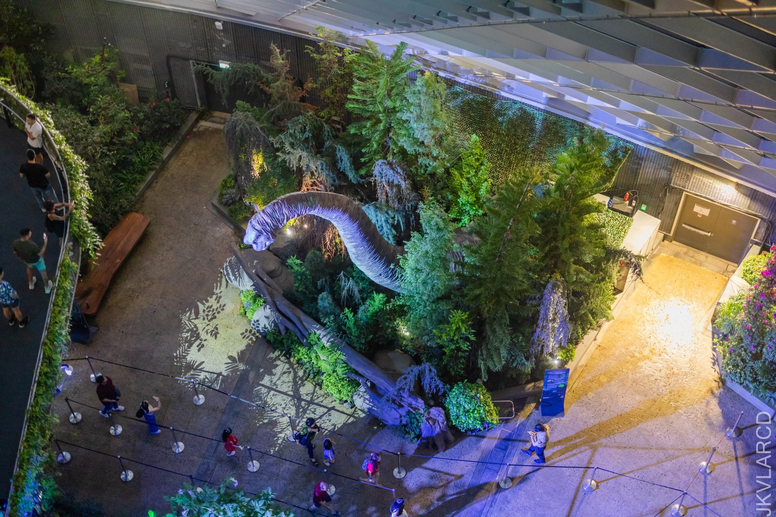 EOS R5_2025_11_22_0048.jpg