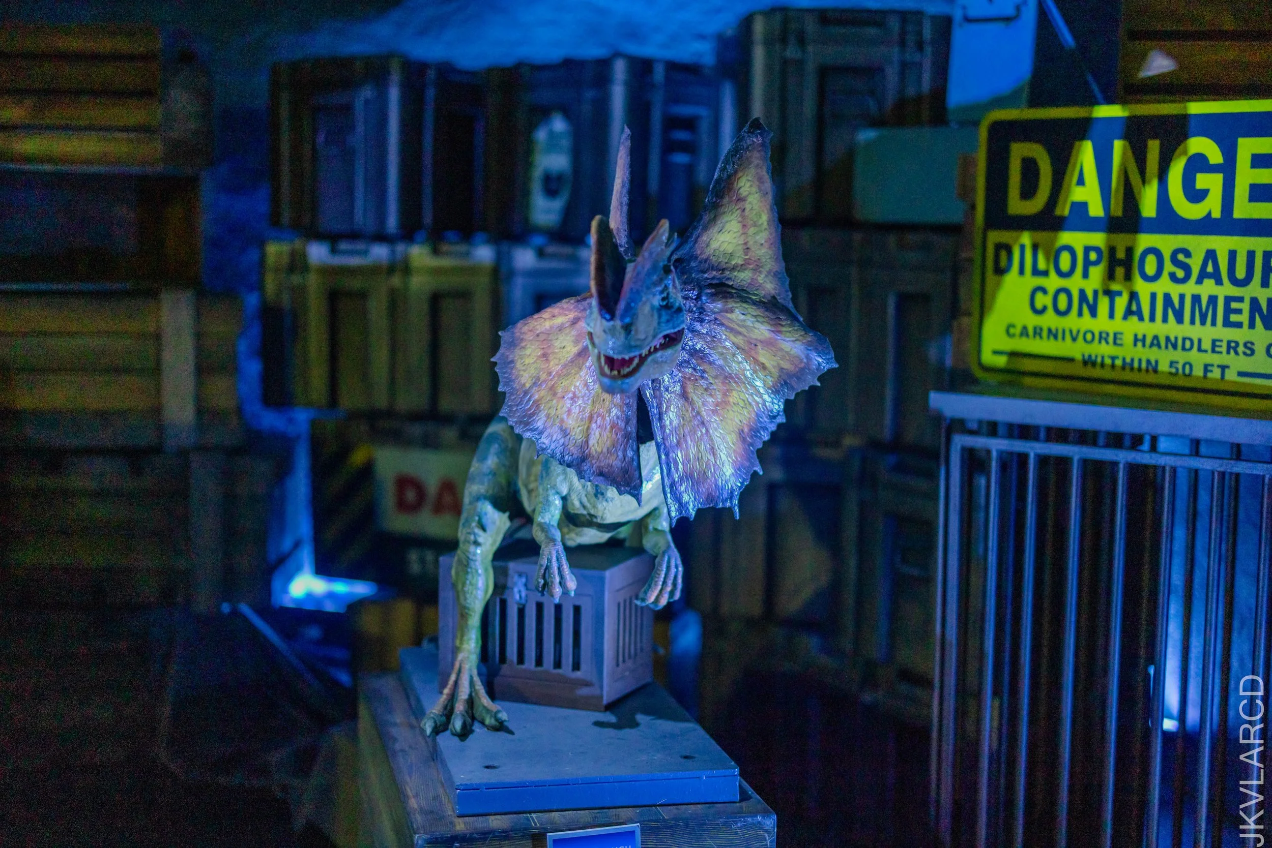 EOS R5_2025_11_22_0082.jpg