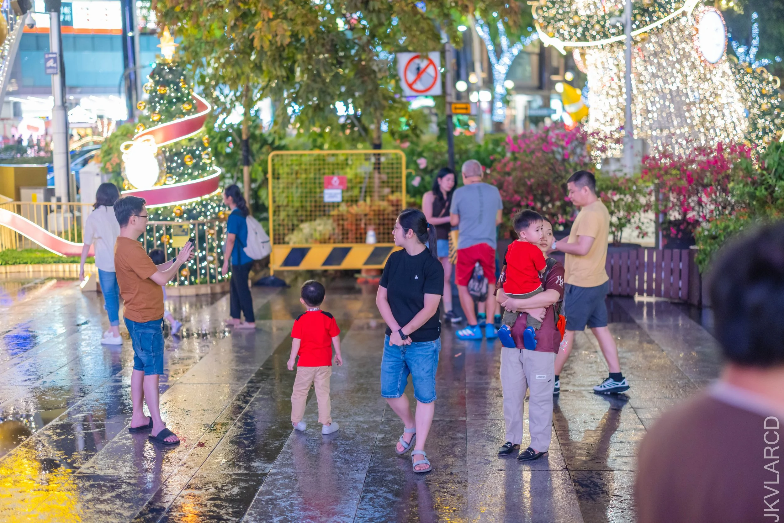 EOS R5_2025_12_13_0003.jpg