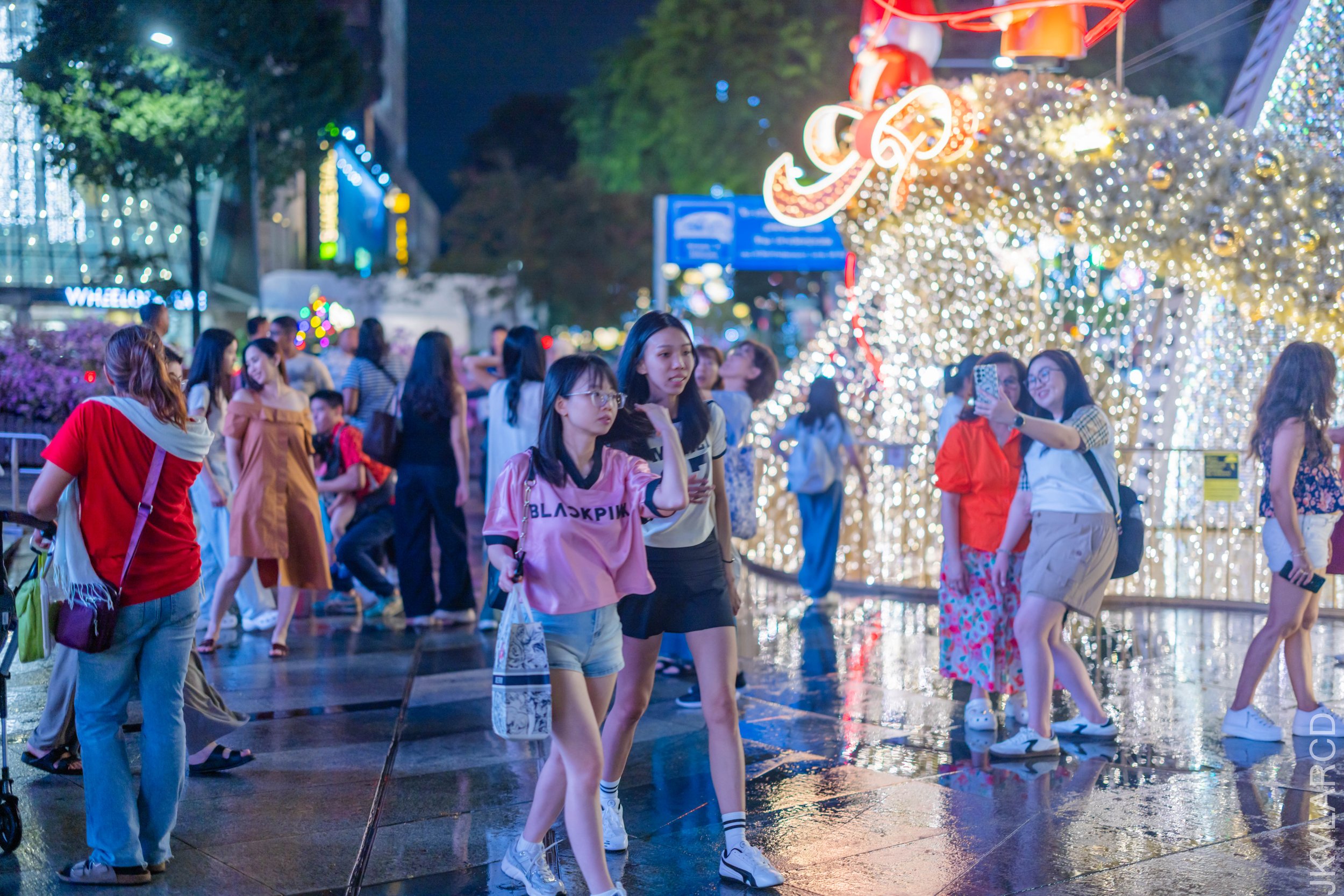 EOS R5_2025_12_13_0005.jpg