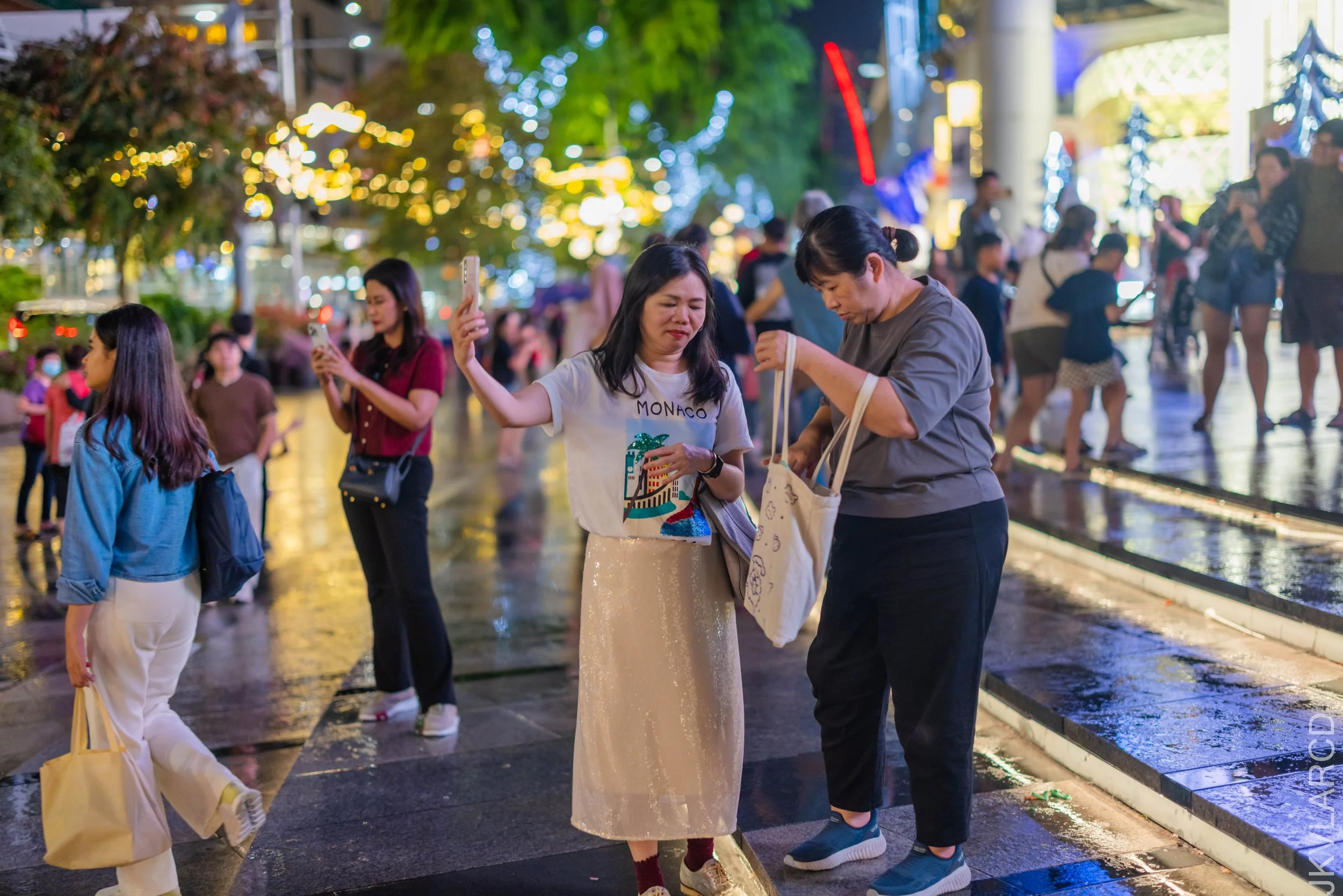 EOS R5_2025_12_13_0010.jpg