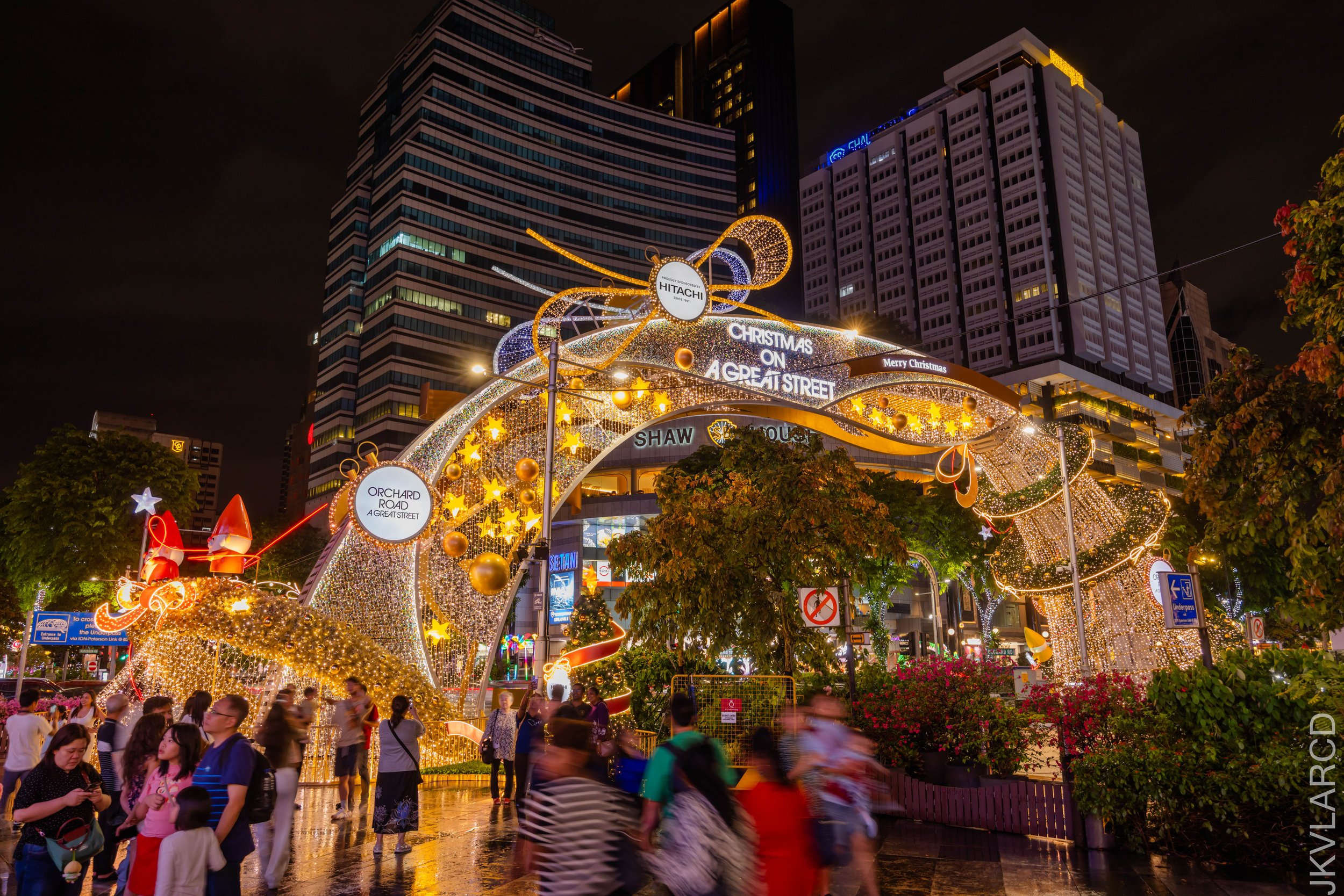 EOS R5_2025_12_13_0015.jpg