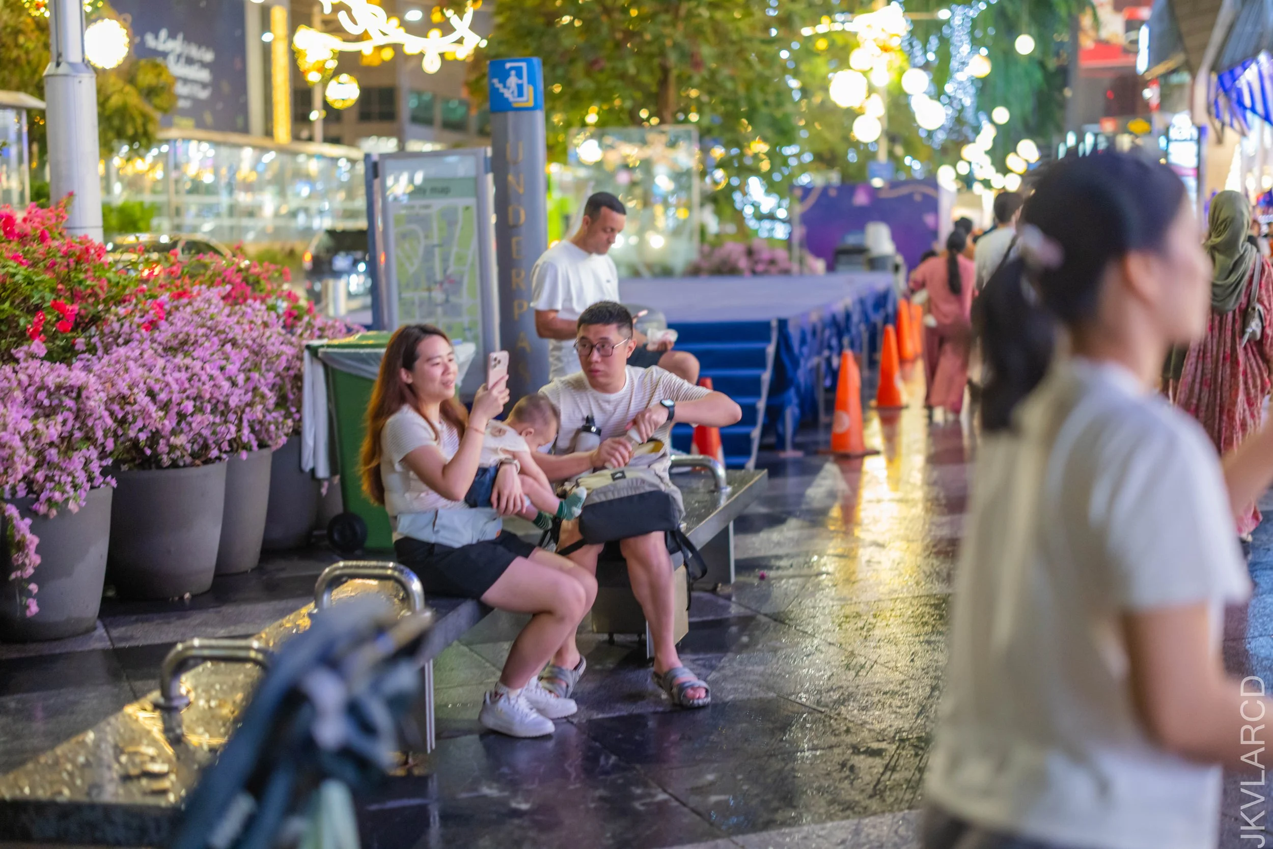 EOS R5_2025_12_13_0016.jpg