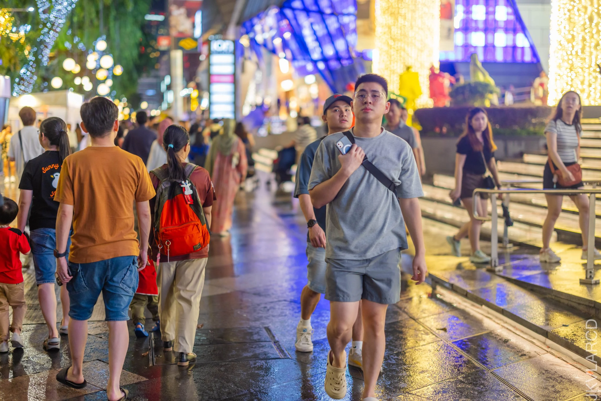 EOS R5_2025_12_13_0020.jpg