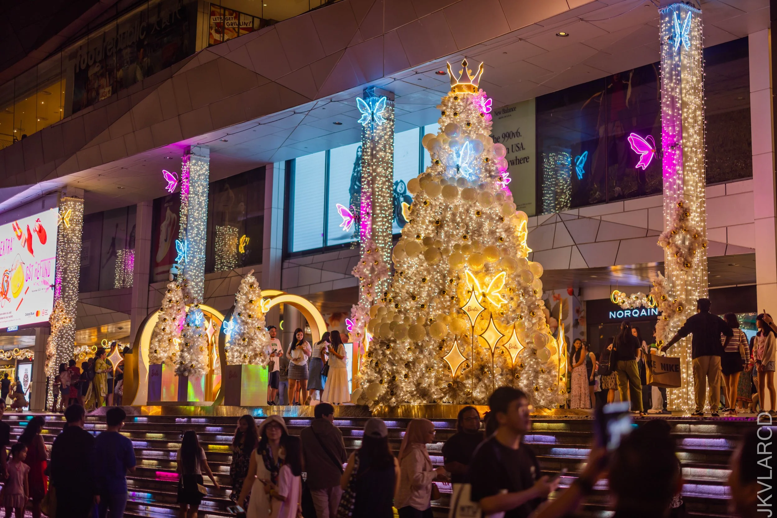 EOS R5_2025_12_13_0031.jpg