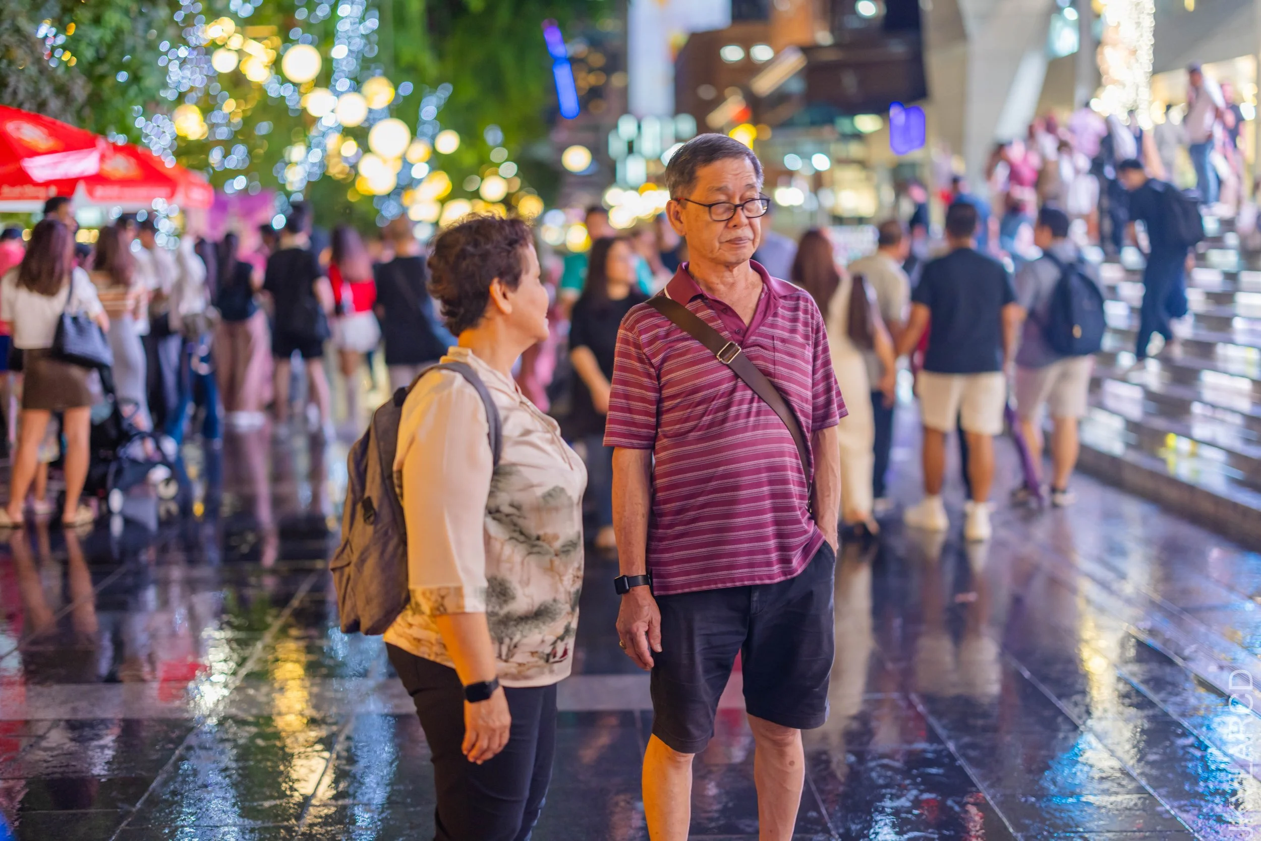 EOS R5_2025_12_13_0033.jpg