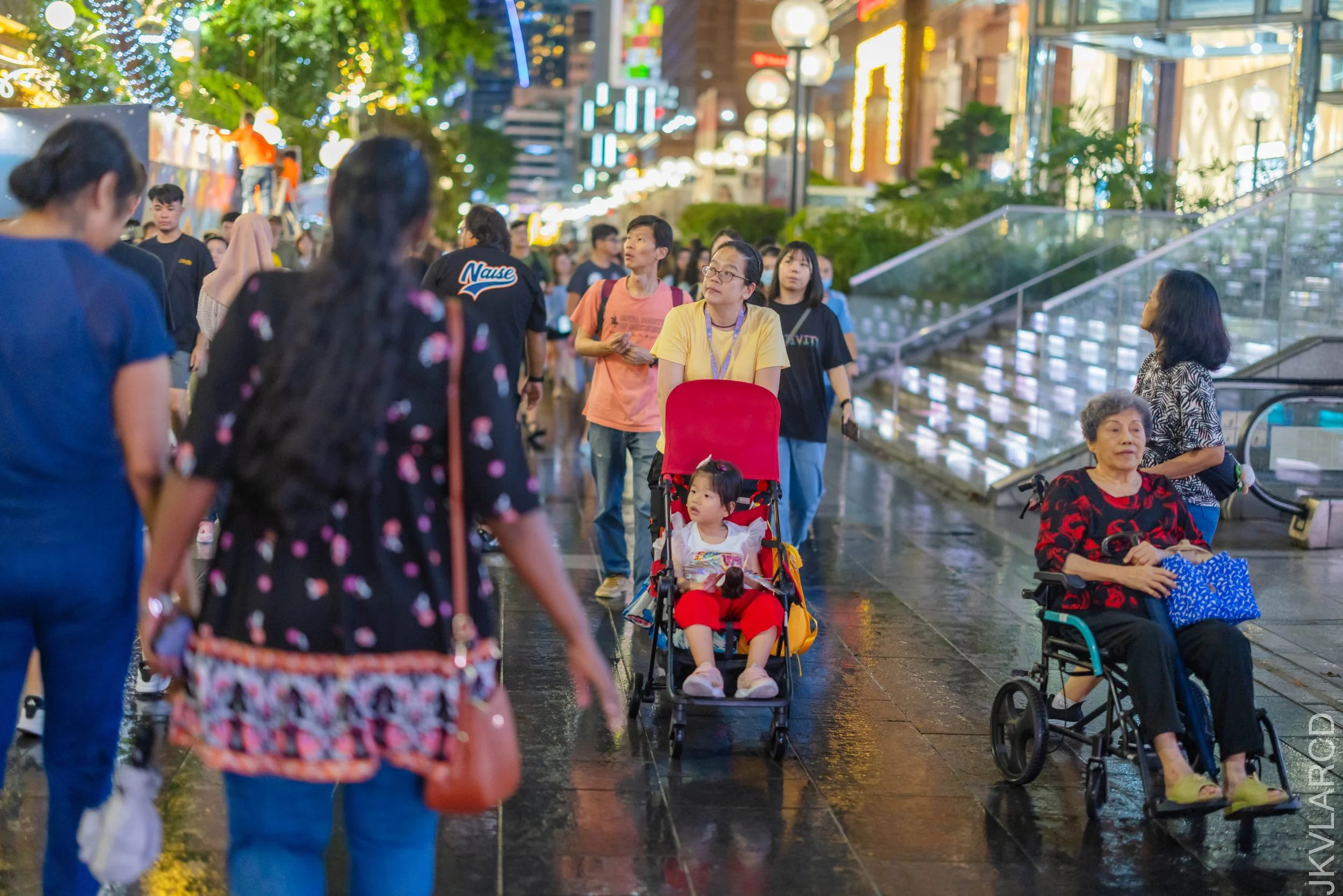 EOS R5_2025_12_13_0038.jpg