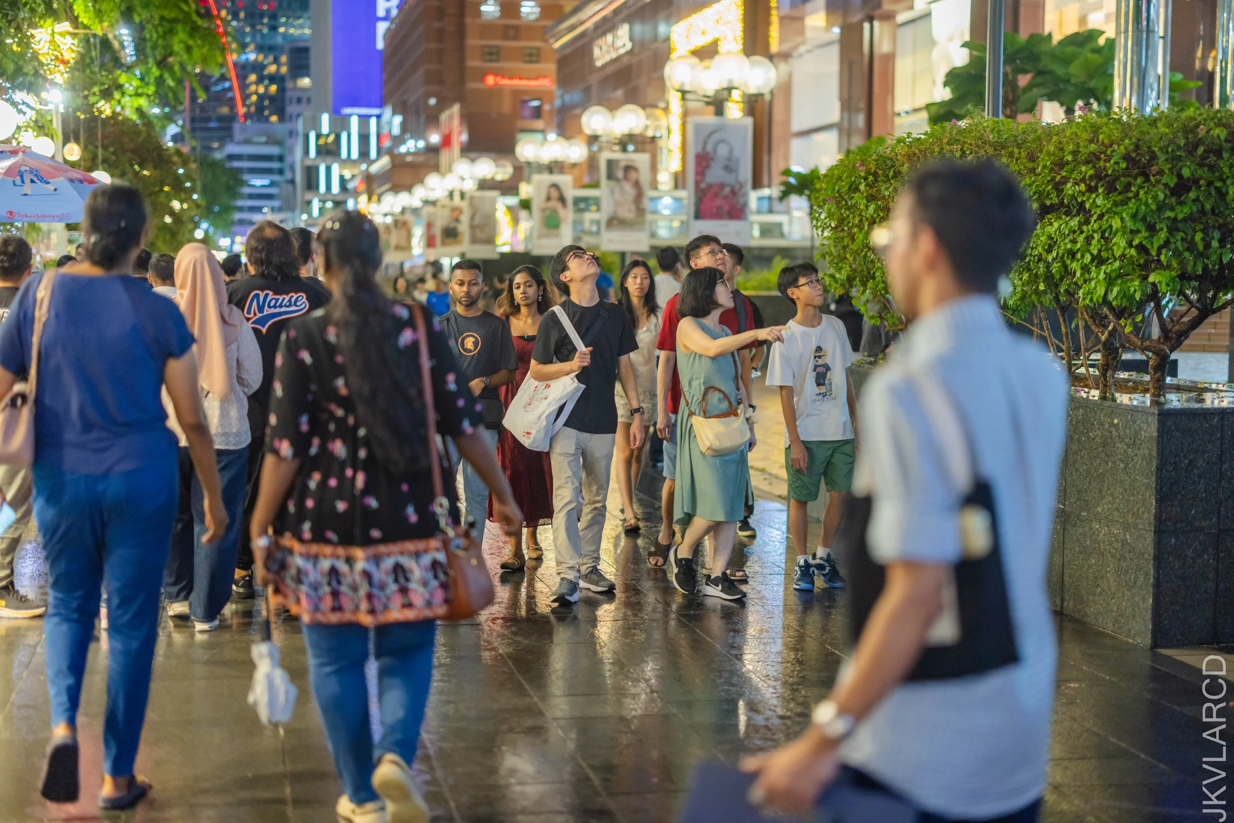 EOS R5_2025_12_13_0042.jpg