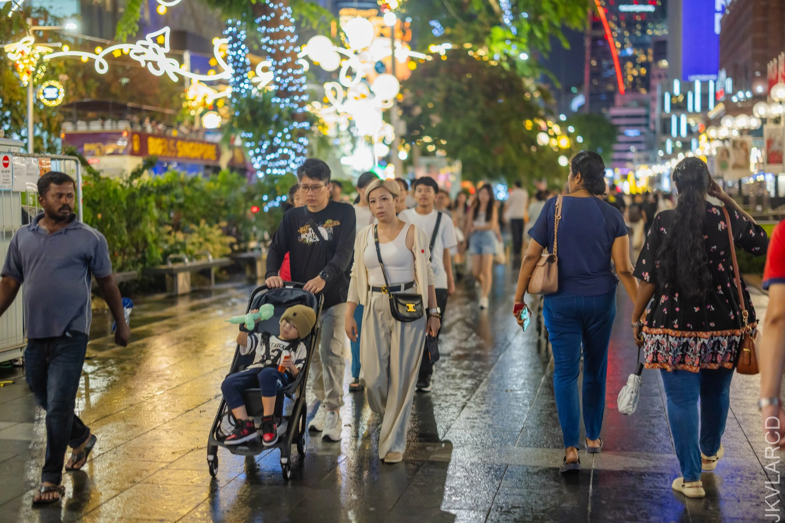 EOS R5_2025_12_13_0044.jpg