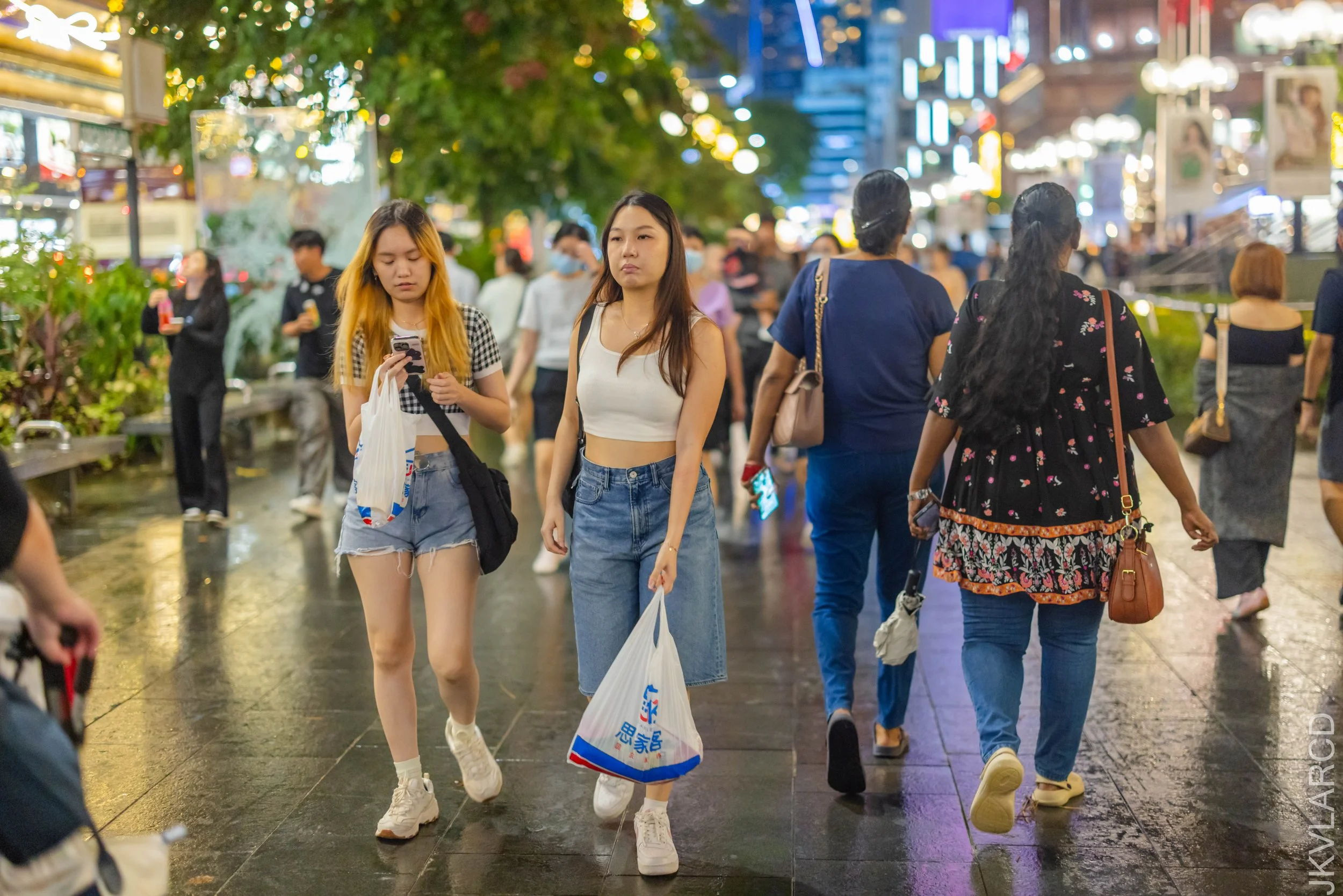 EOS R5_2025_12_13_0048.jpg