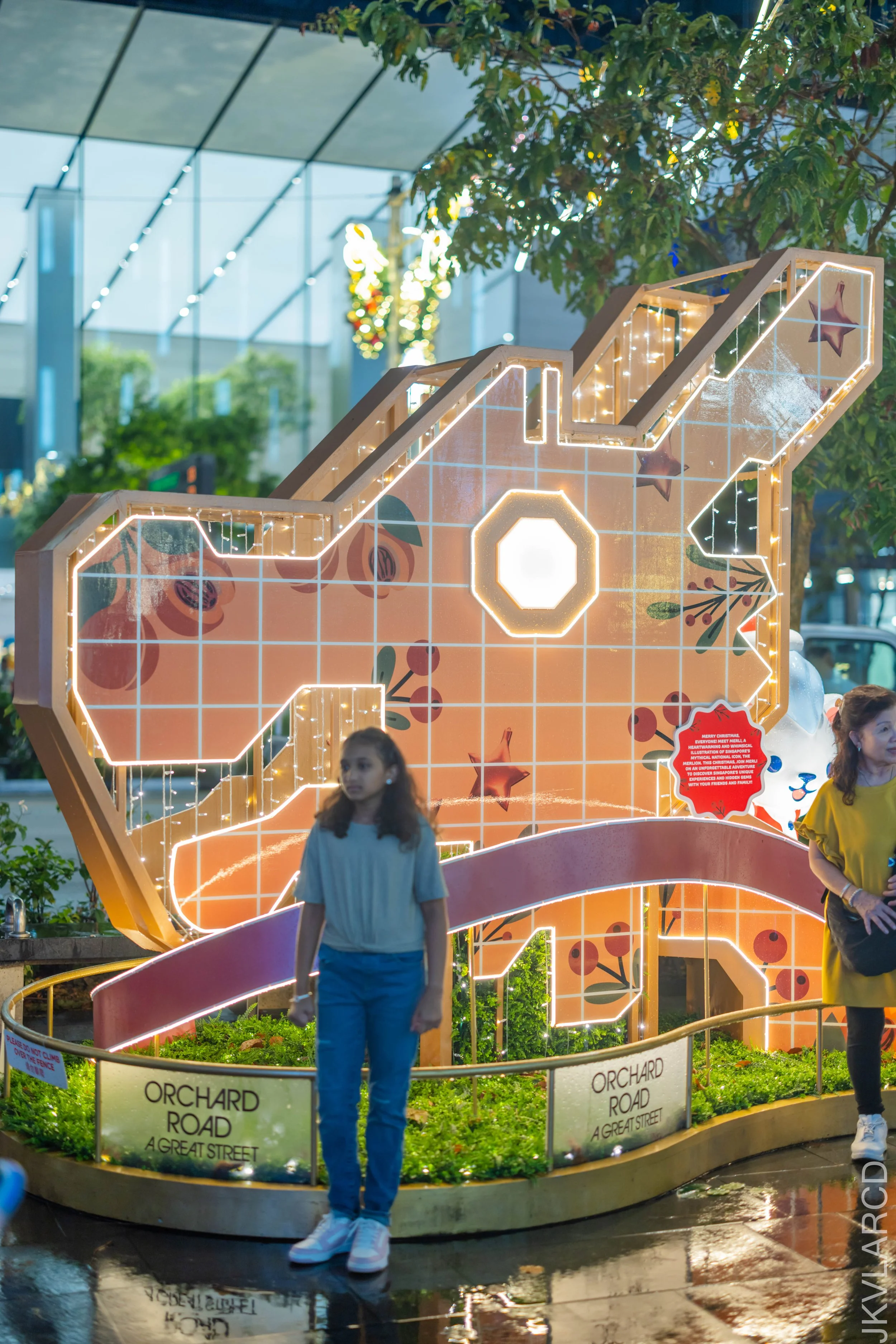 EOS R5_2025_12_13_0078.jpg