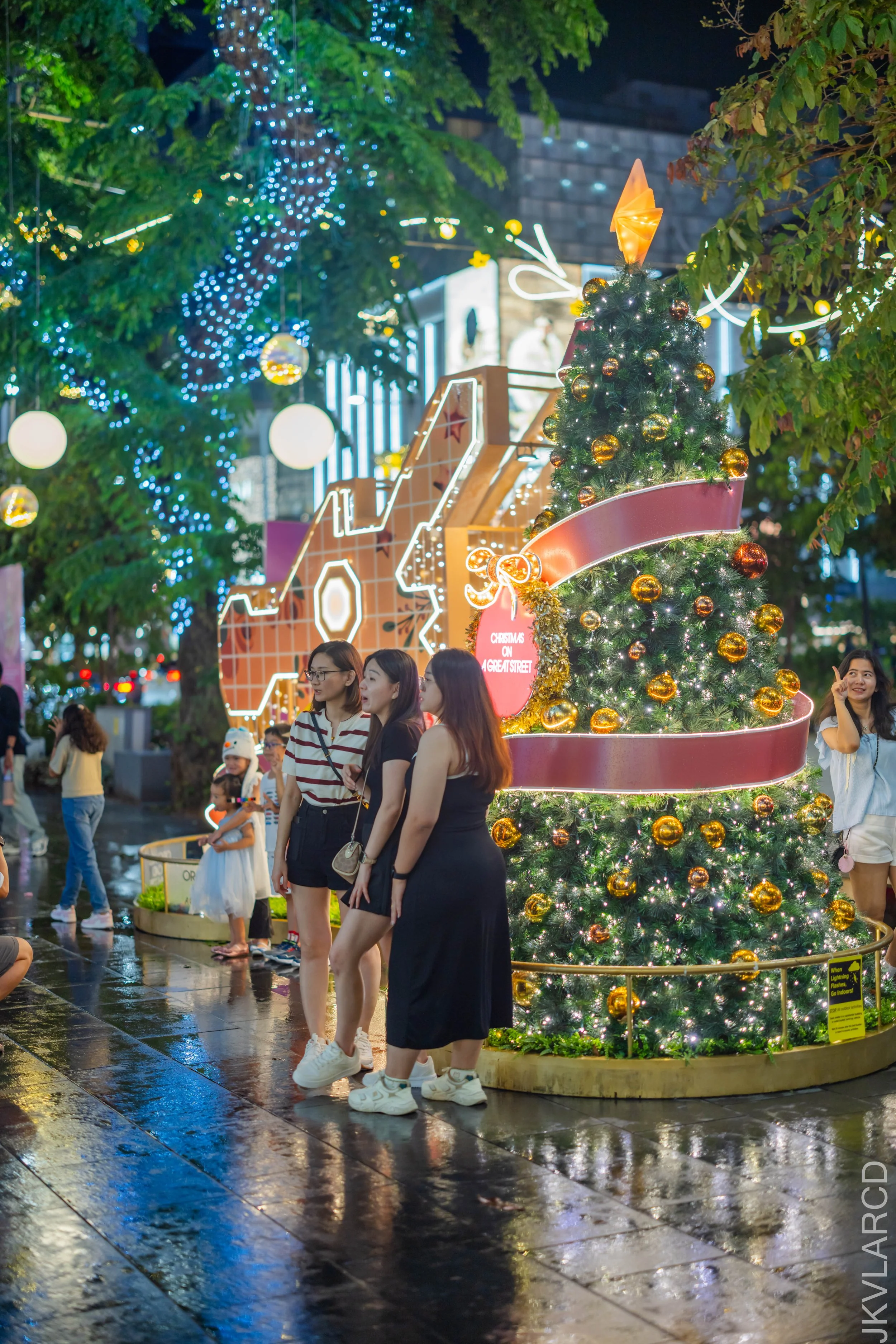 EOS R5_2025_12_13_0080.jpg