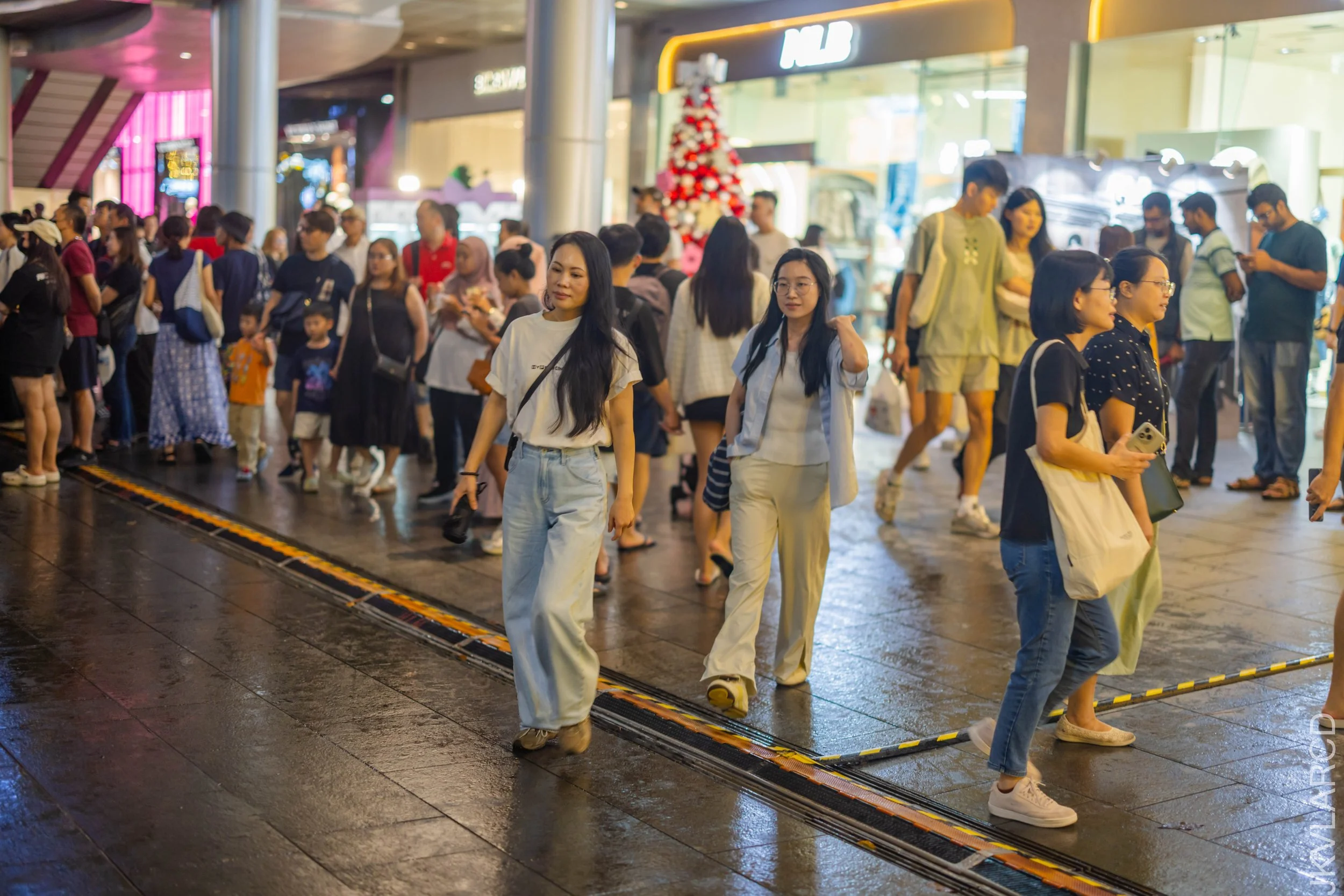 EOS R5_2025_12_13_0085.jpg