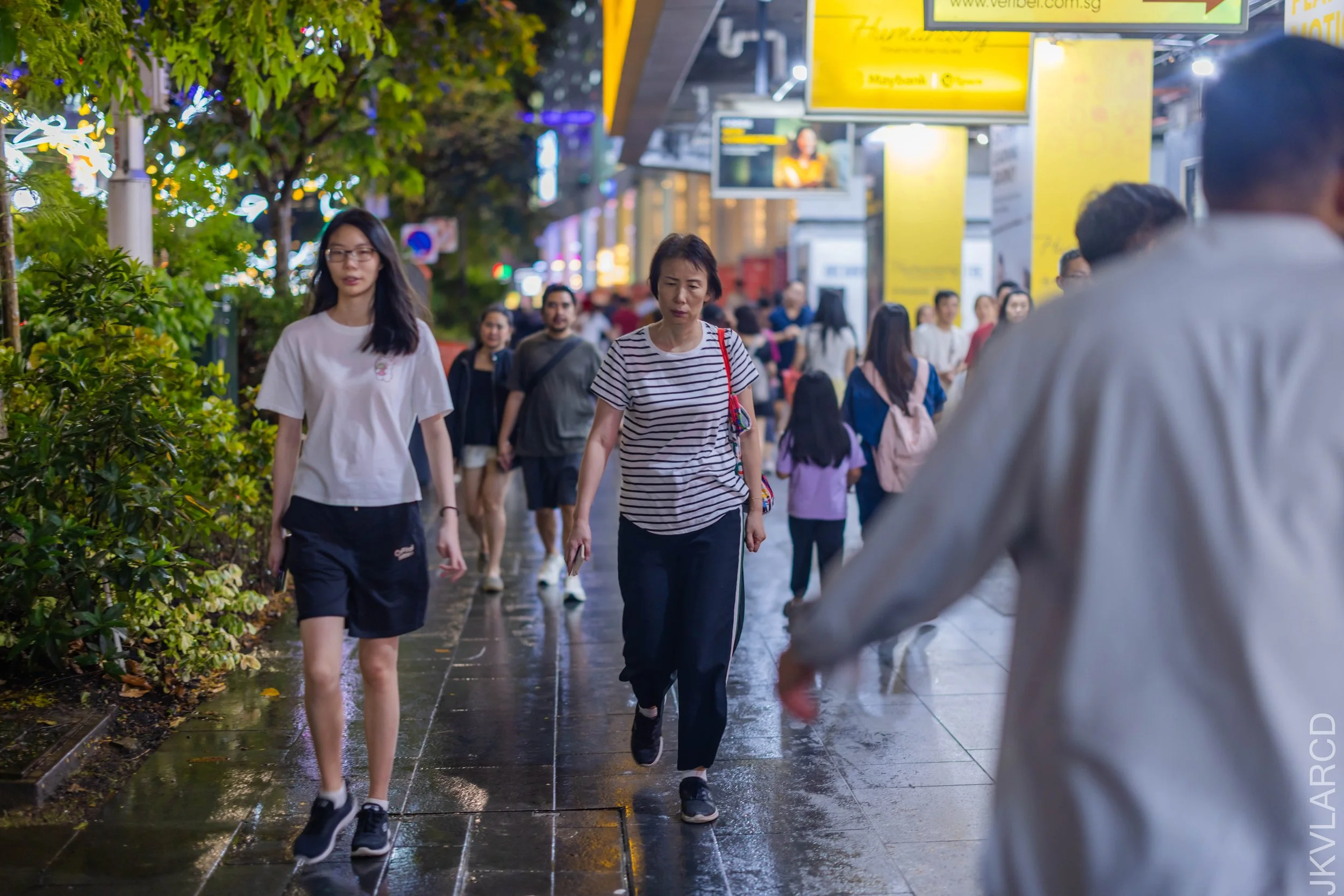 EOS R5_2025_12_13_0095.jpg