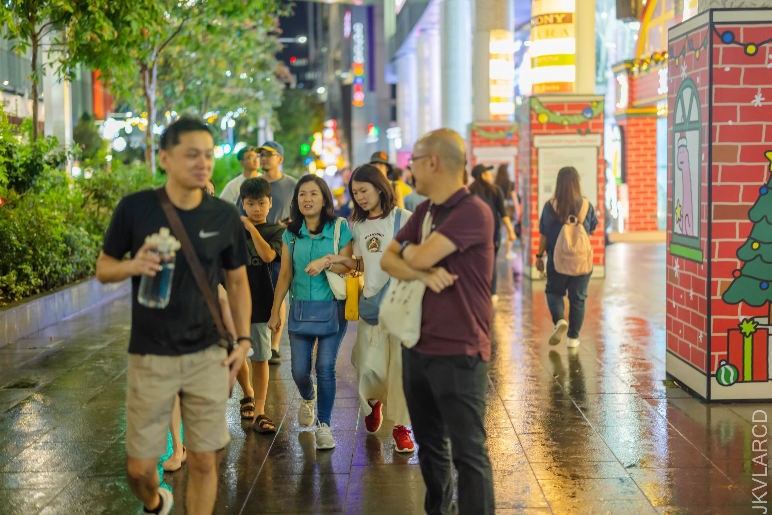 EOS R5_2025_12_13_0100.jpg