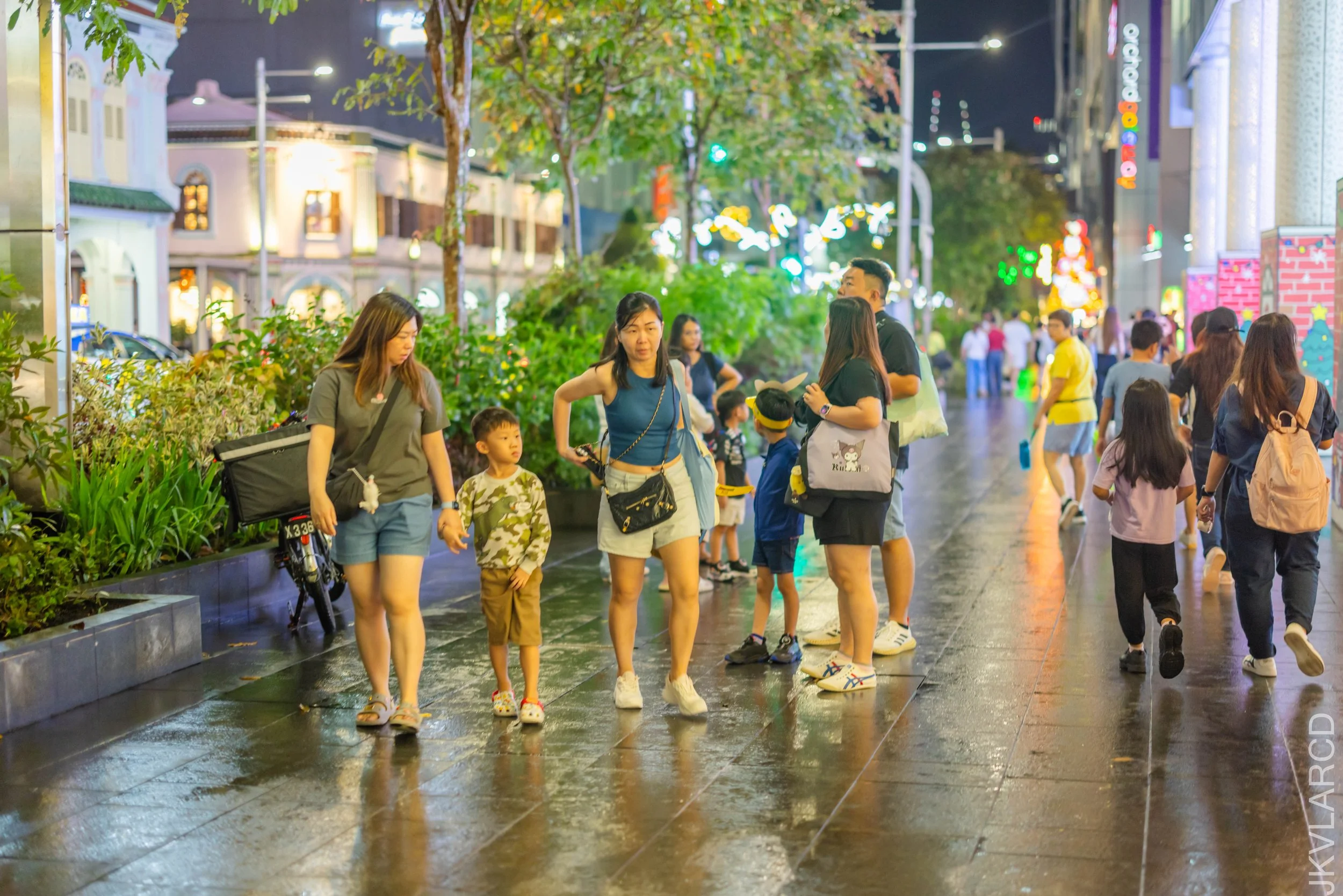 EOS R5_2025_12_13_0102.jpg