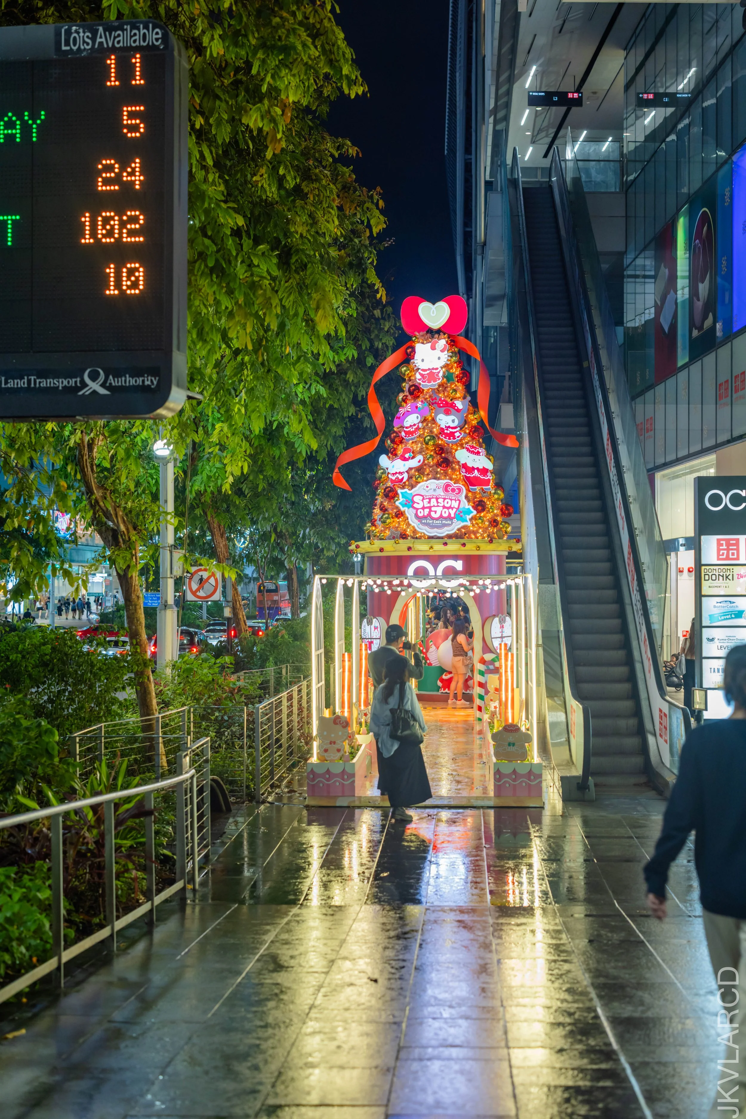 EOS R5_2025_12_13_0103.jpg