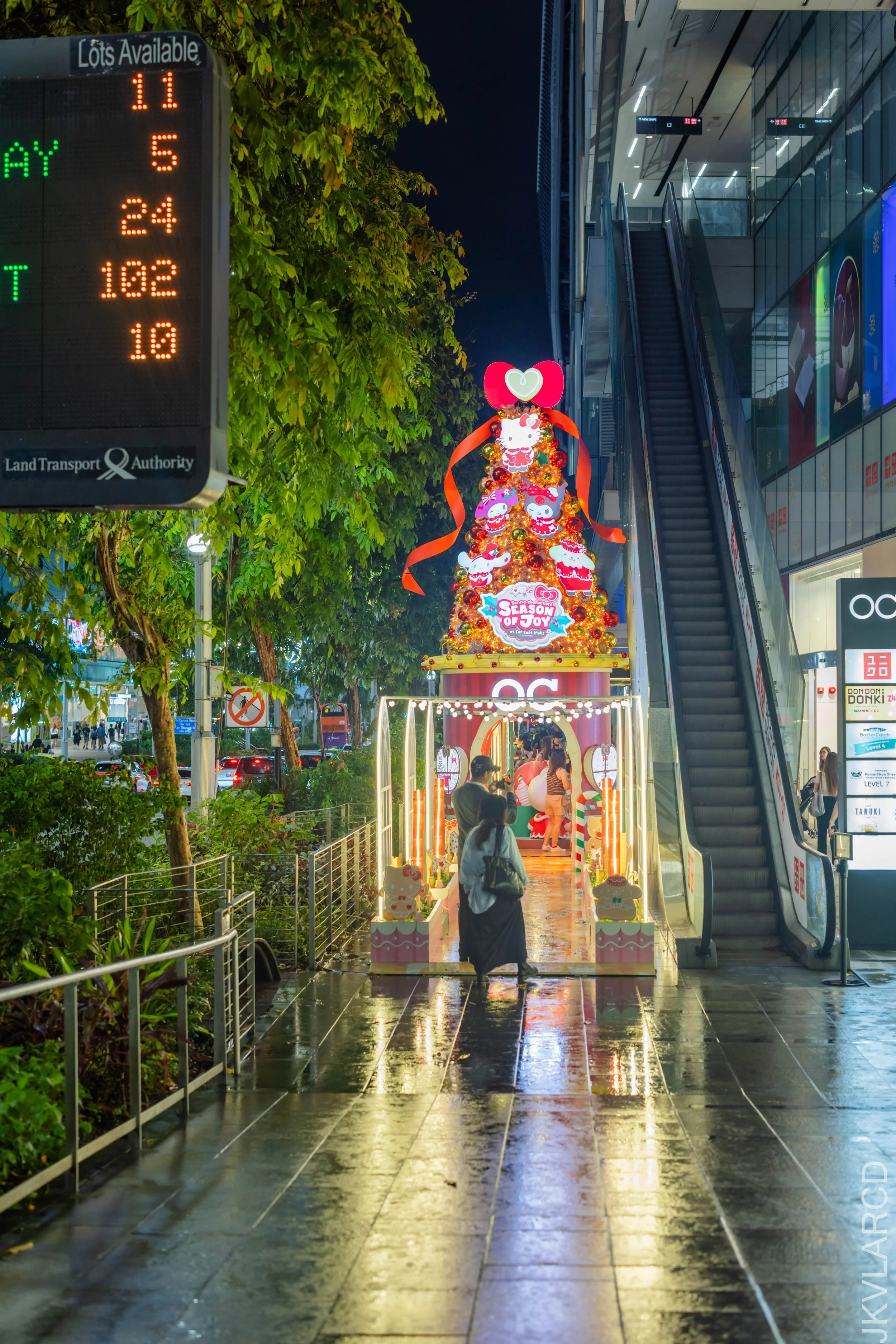 EOS R5_2025_12_13_0104.jpg