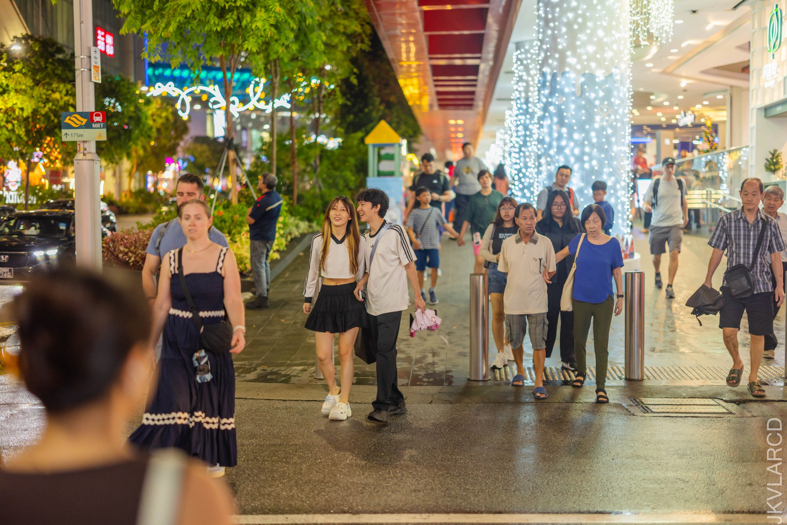 EOS R5_2025_12_13_0109.jpg